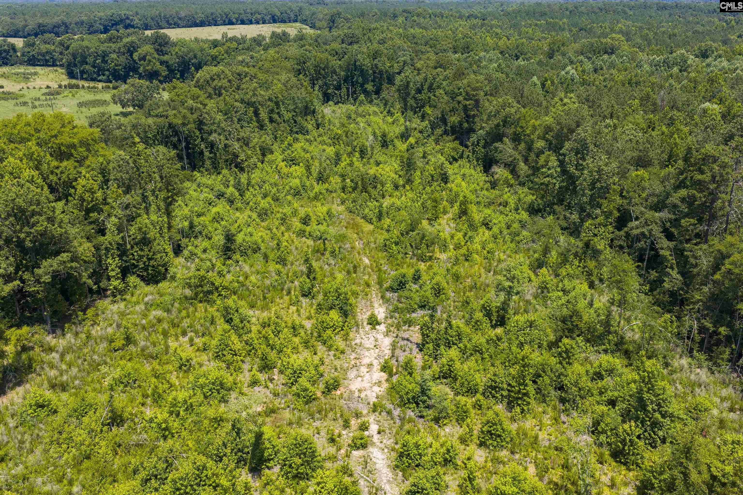 Stevens Road Saluda, SC 29138