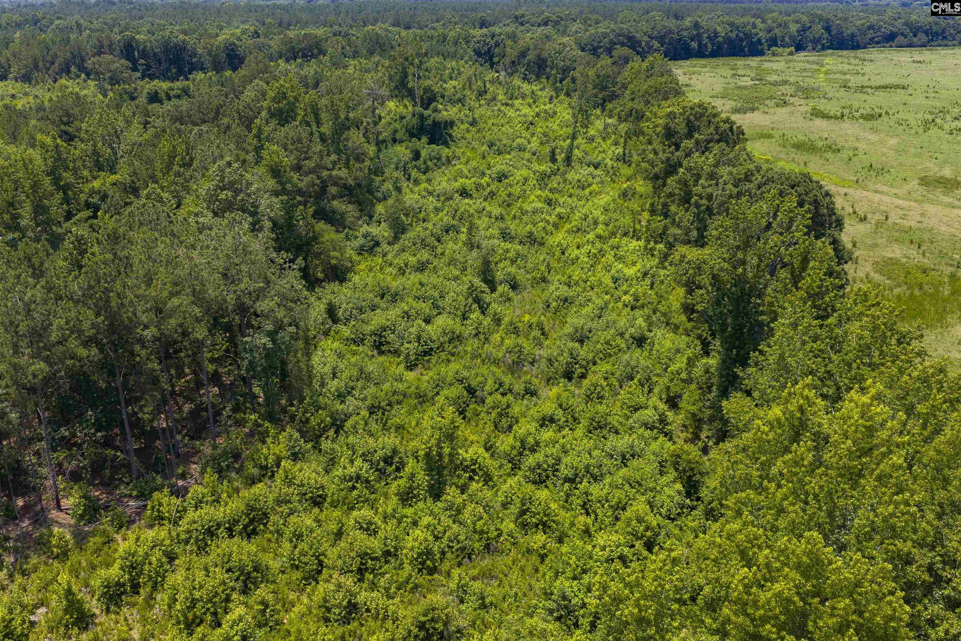 Stevens Road Saluda, SC 29138
