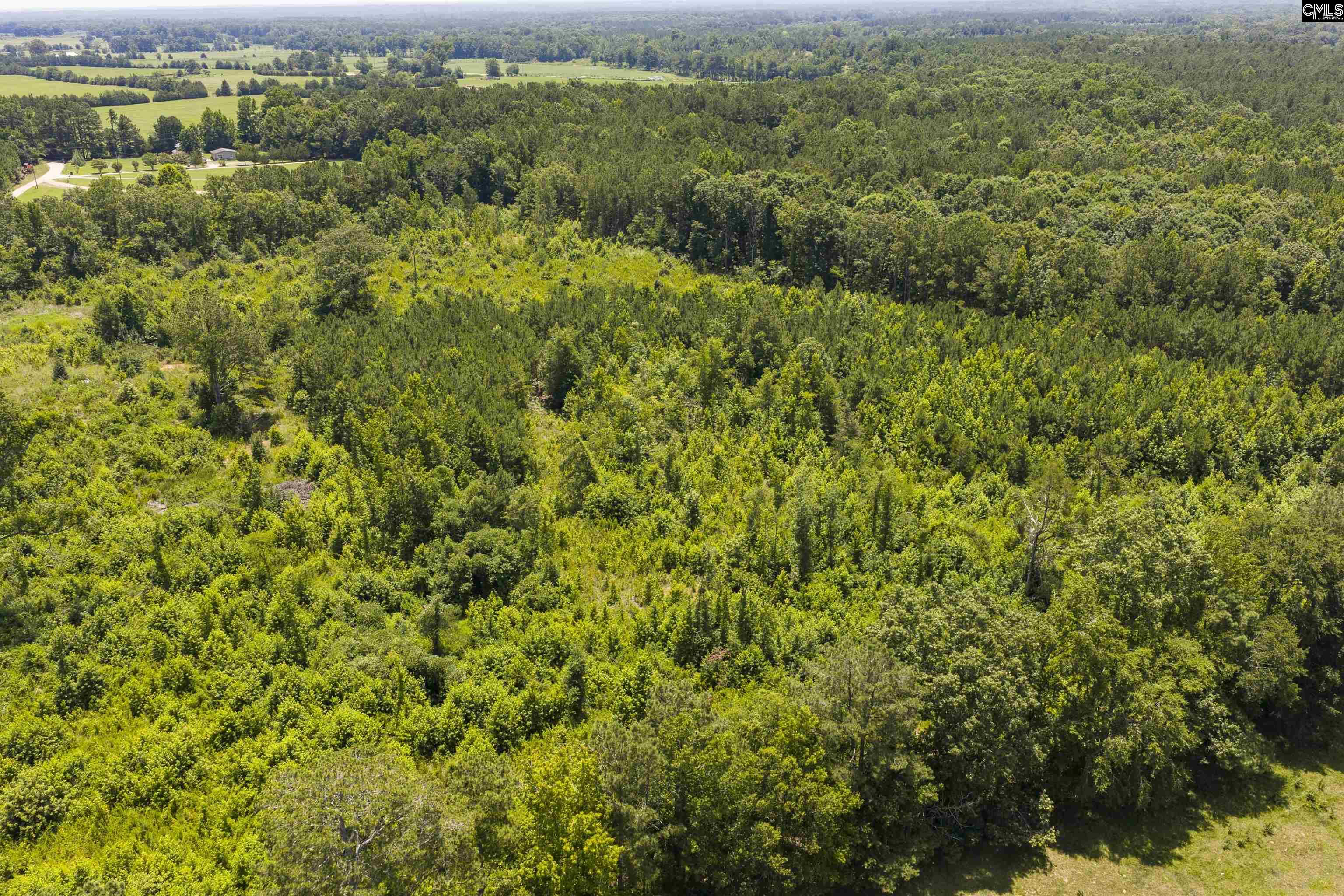 Stevens Road Saluda, SC 29138