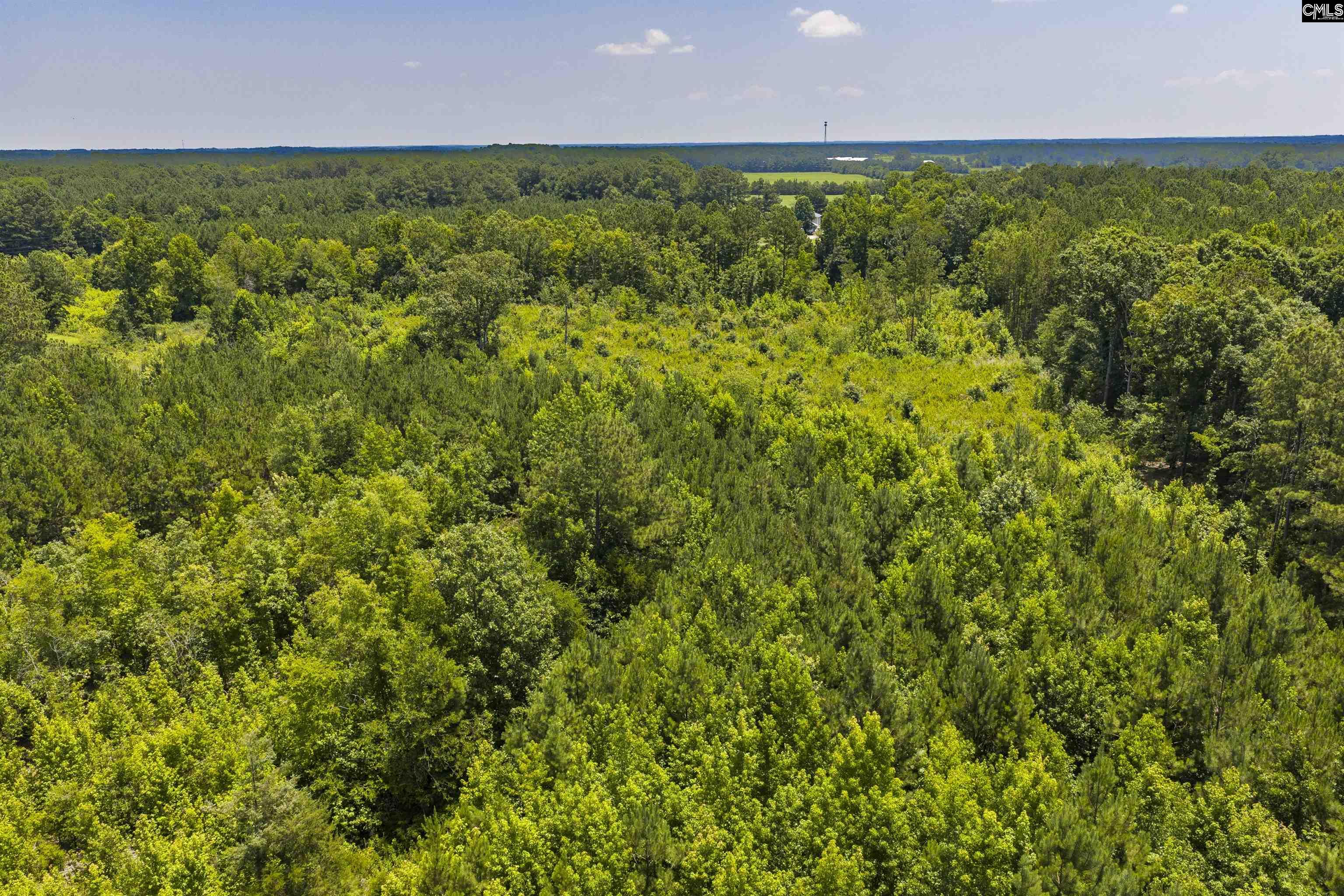 Stevens Road Saluda, SC 29138