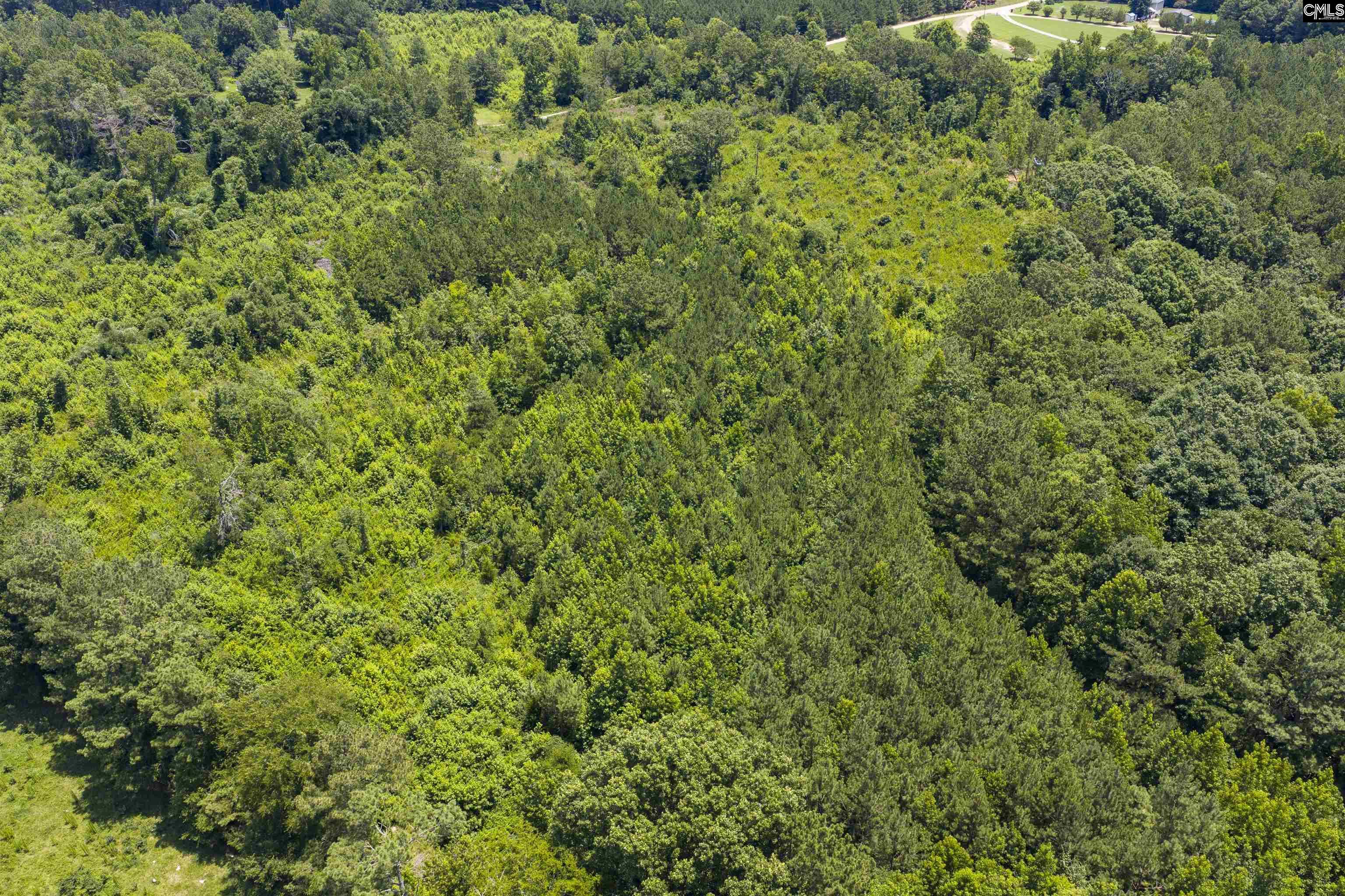 Stevens Road Saluda, SC 29138