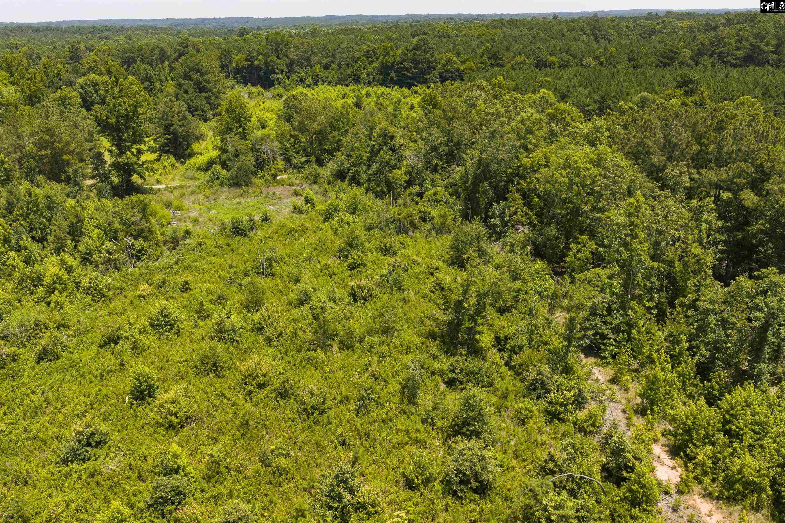 Stevens Road Saluda, SC 29138
