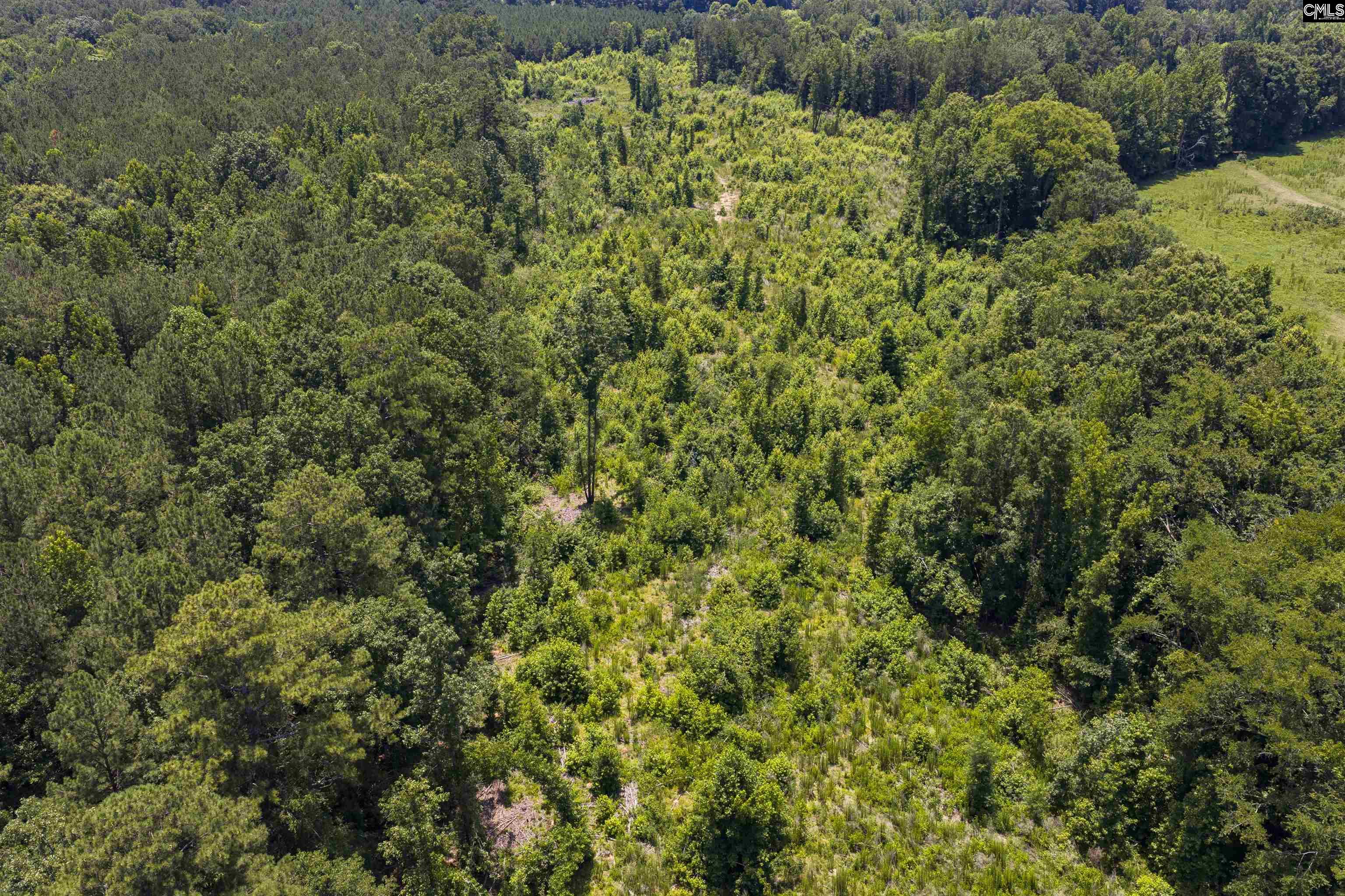 Stevens Road Saluda, SC 29138