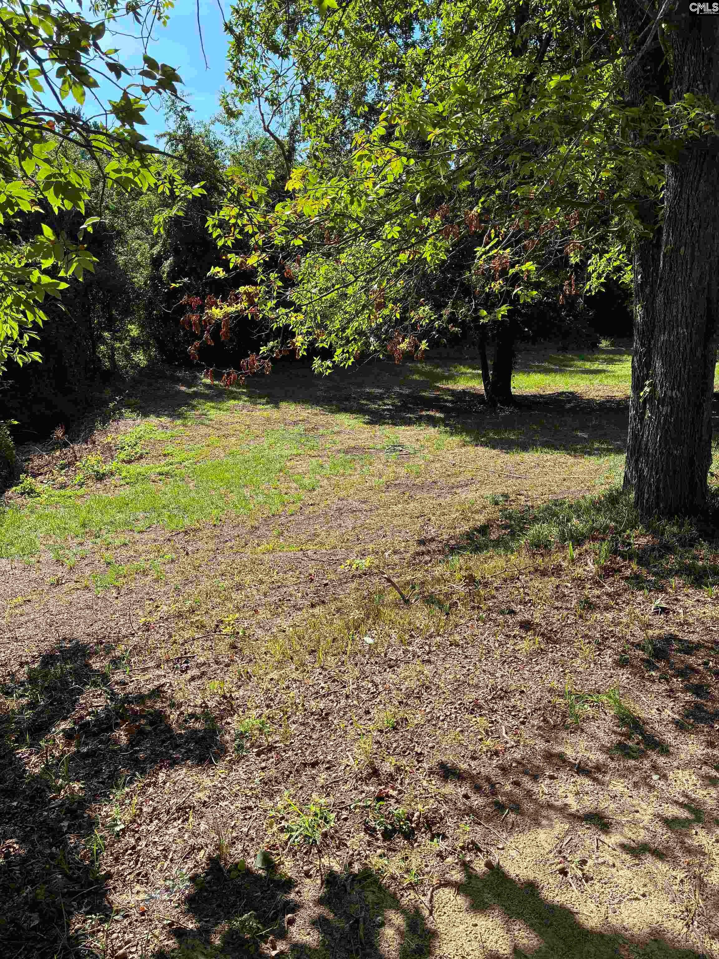 219 Paula Court Gaston, SC 29053