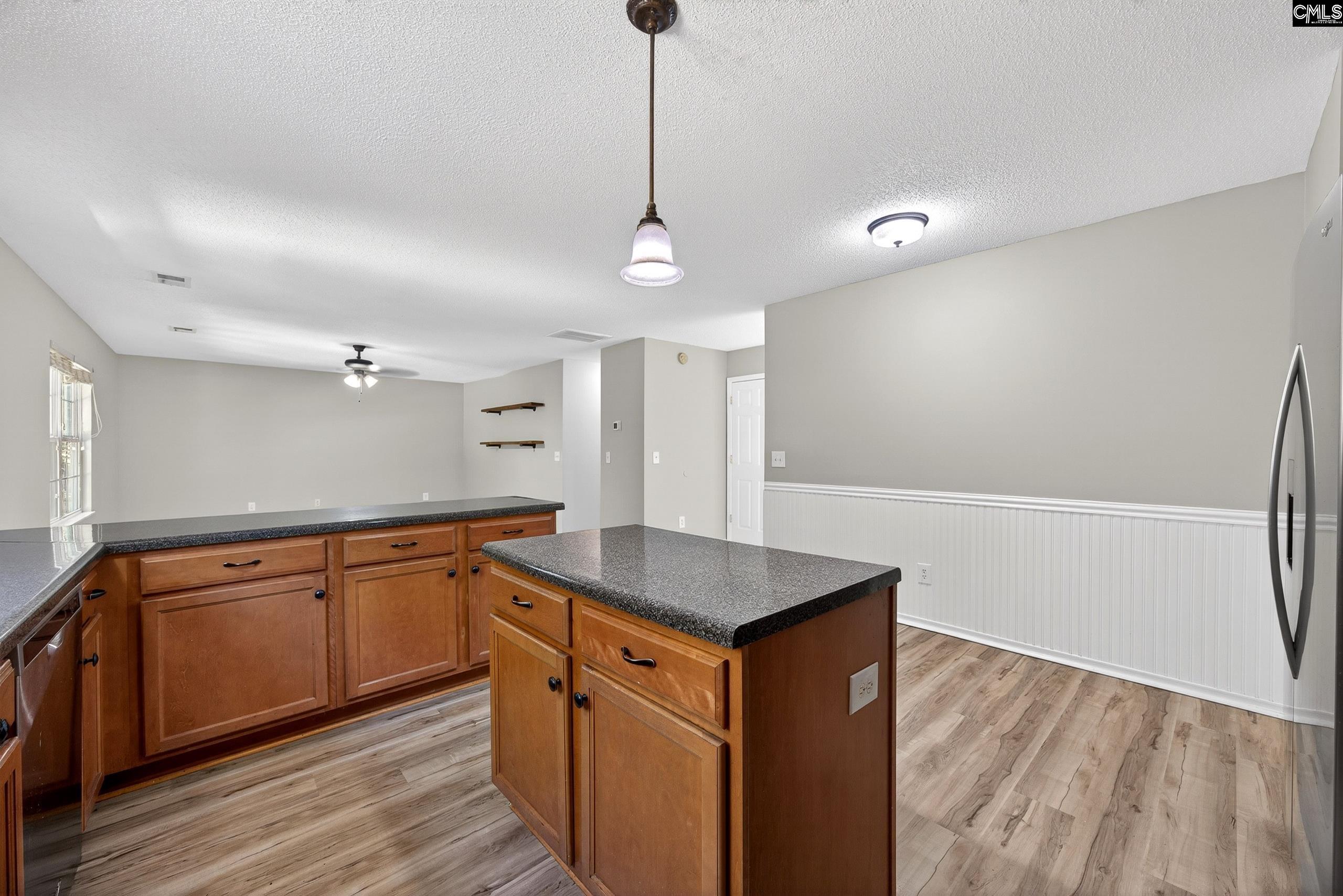 224 Walkbridge Way Chapin, SC 29036