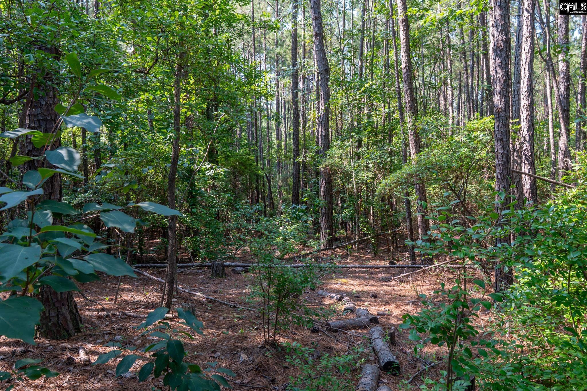1633 Old Stagecoach Road Camden, SC 29020