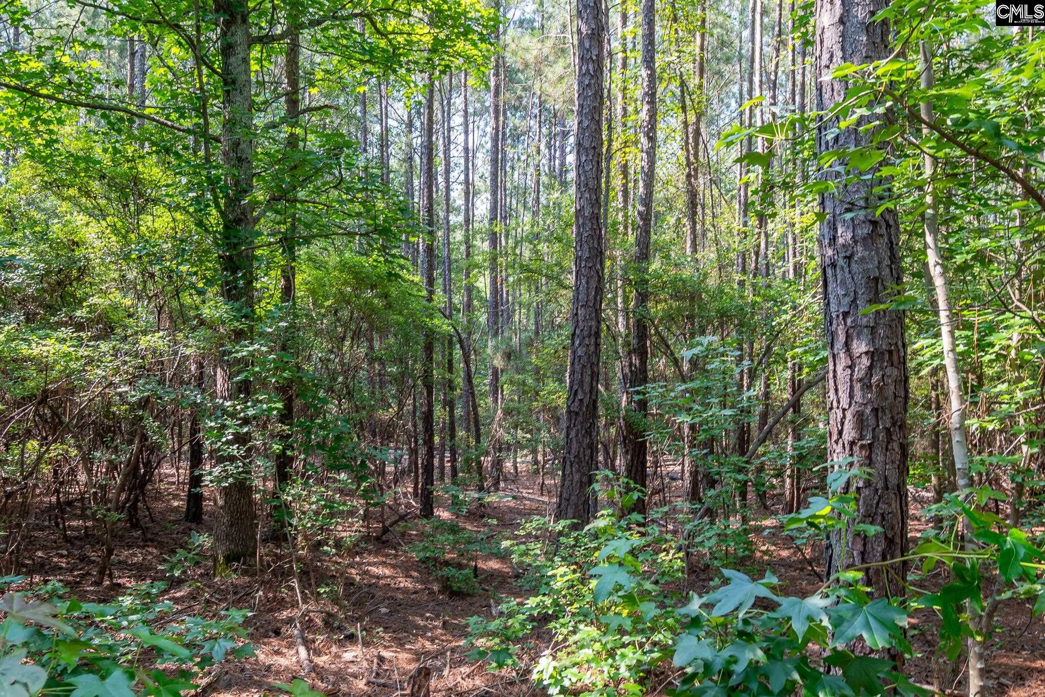 1633 Old Stagecoach Road Camden, SC 29020