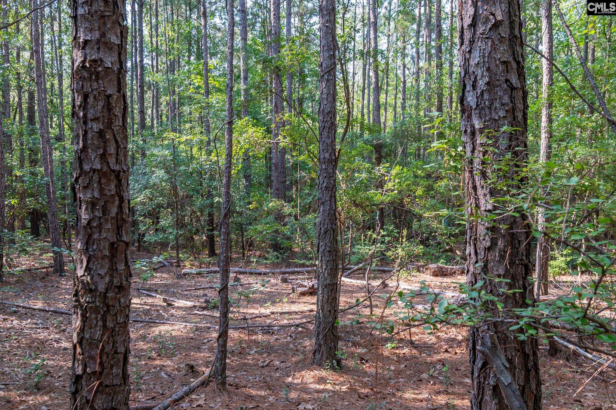 1633 Old Stagecoach Road Camden, SC 29020