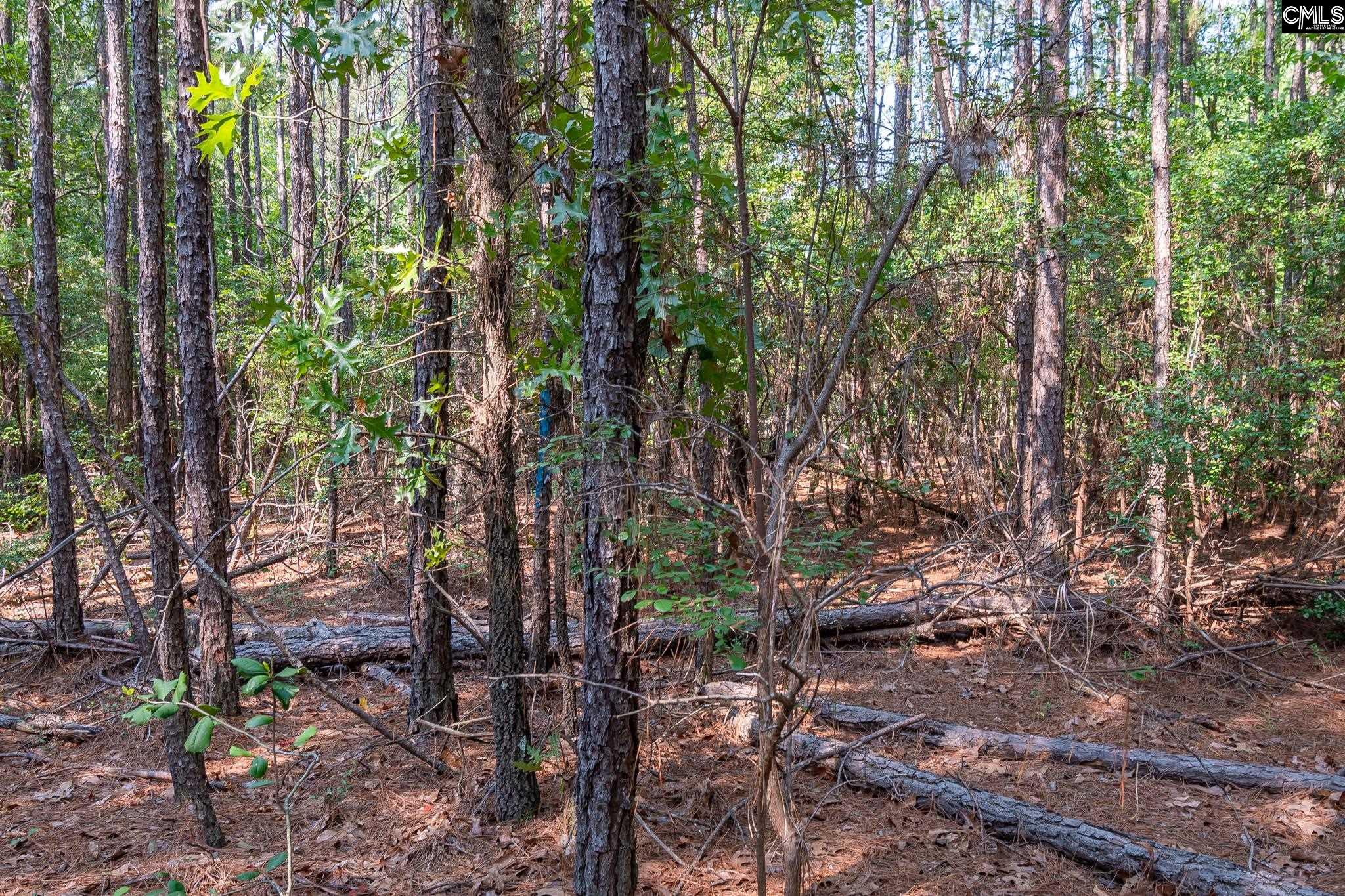 1633 Old Stagecoach Road Camden, SC 29020