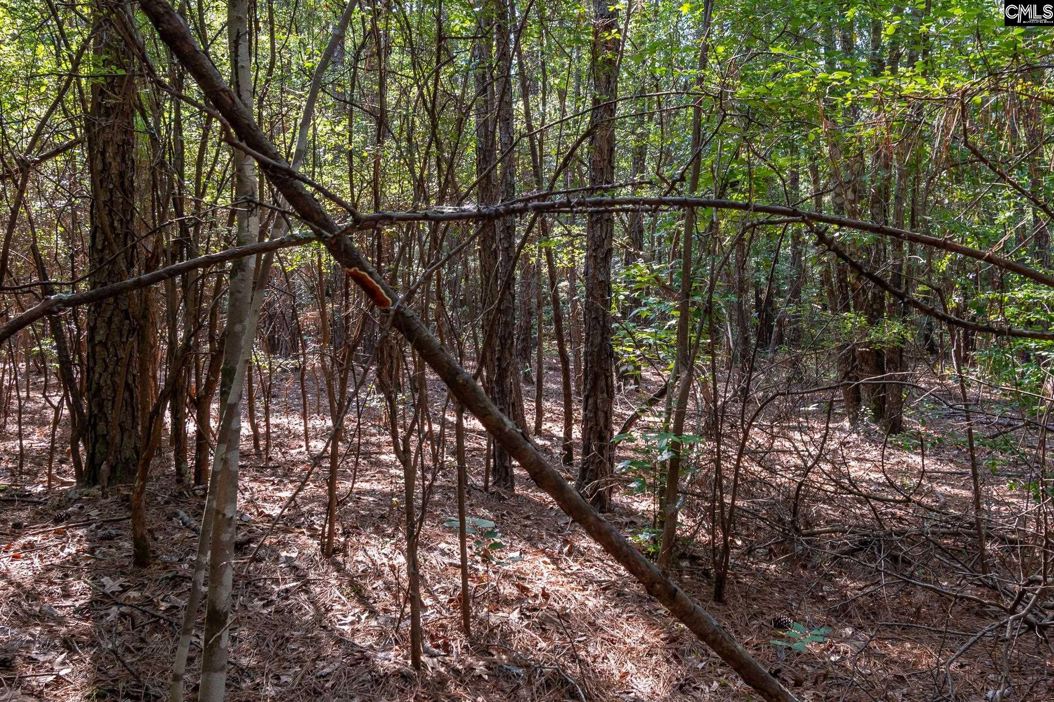 1633 Old Stagecoach Road Camden, SC 29020