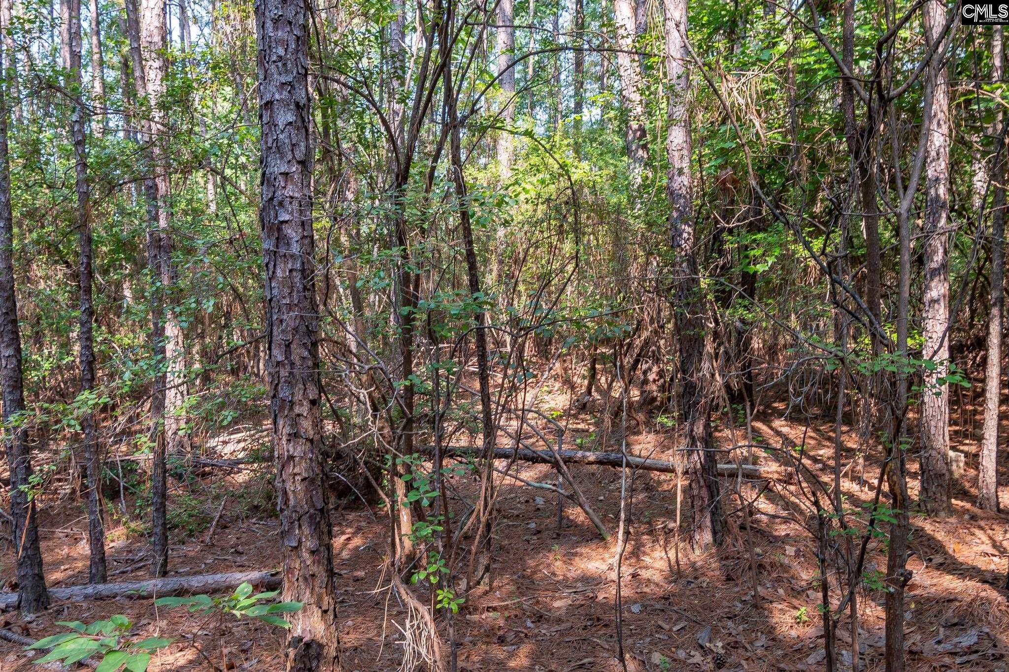 1633 Old Stagecoach Road Camden, SC 29020