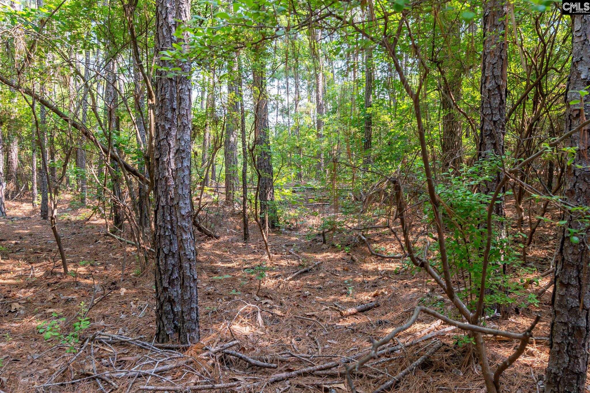 1633 Old Stagecoach Road Camden, SC 29020