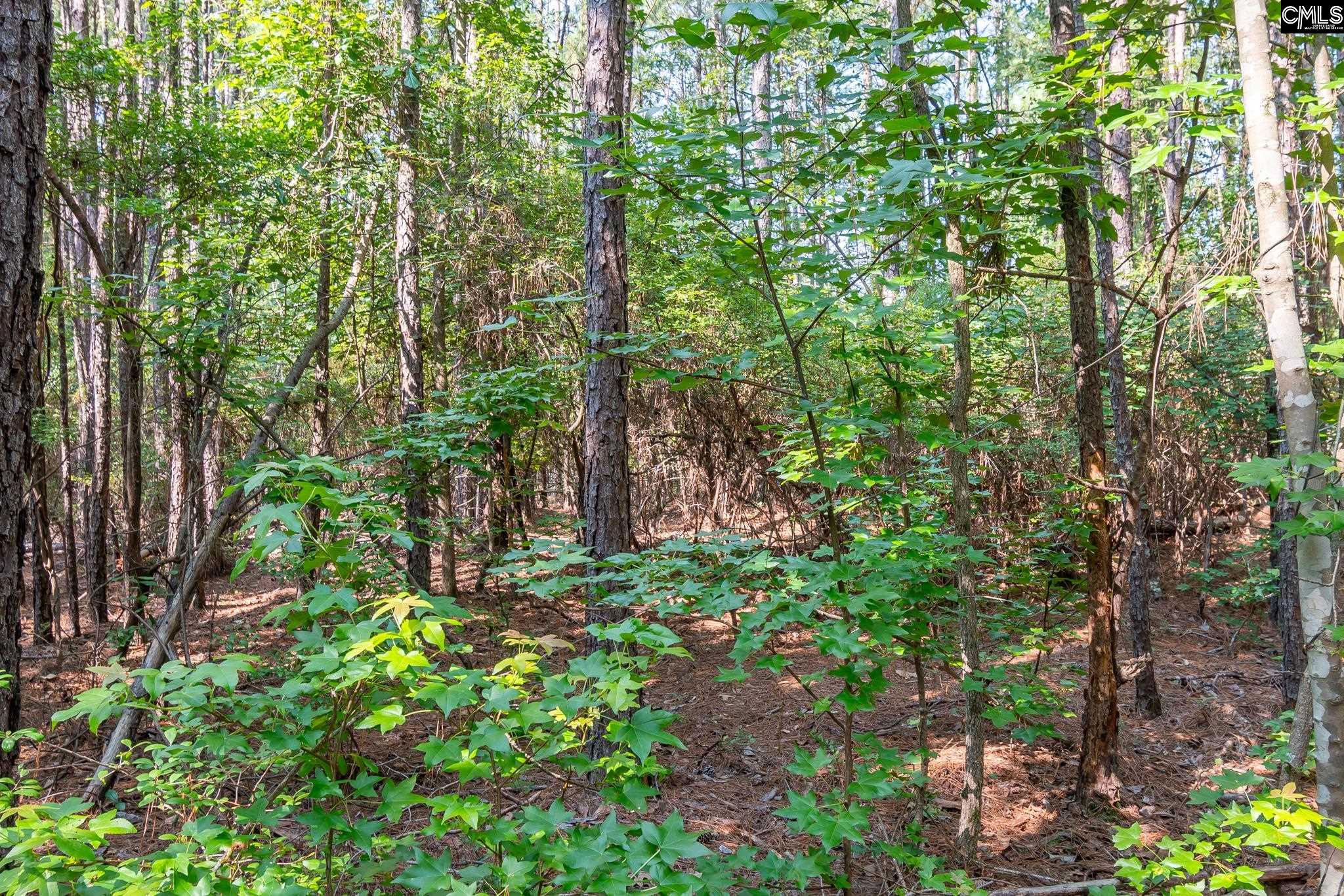 1633 Old Stagecoach Road Camden, SC 29020