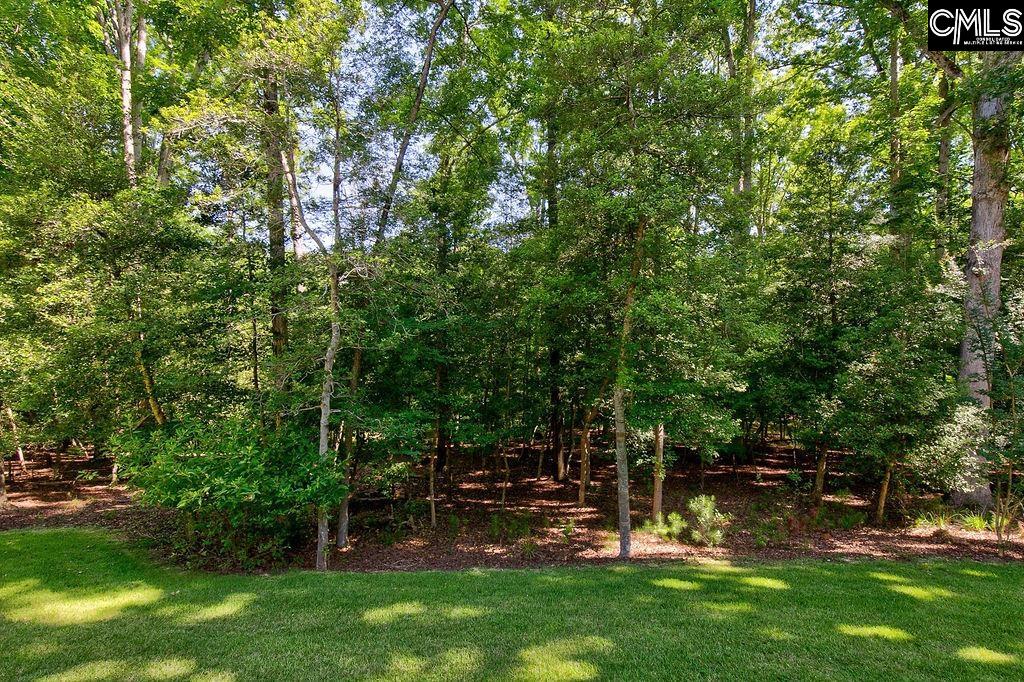 1756 Wash Lever Road Little Mountain, SC 29075