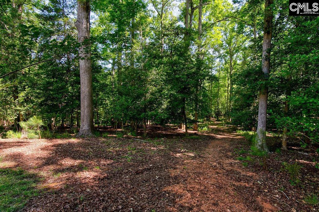 1756 Wash Lever Road Little Mountain, SC 29075