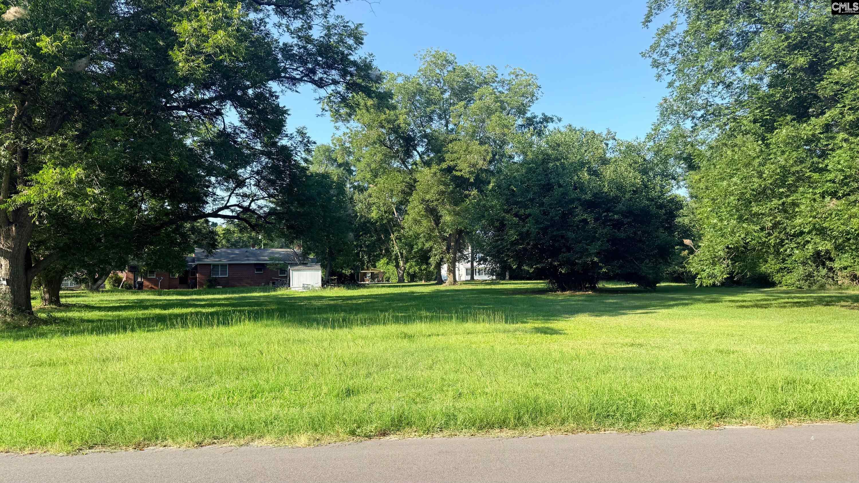 00 4th Street Olar, SC 29843