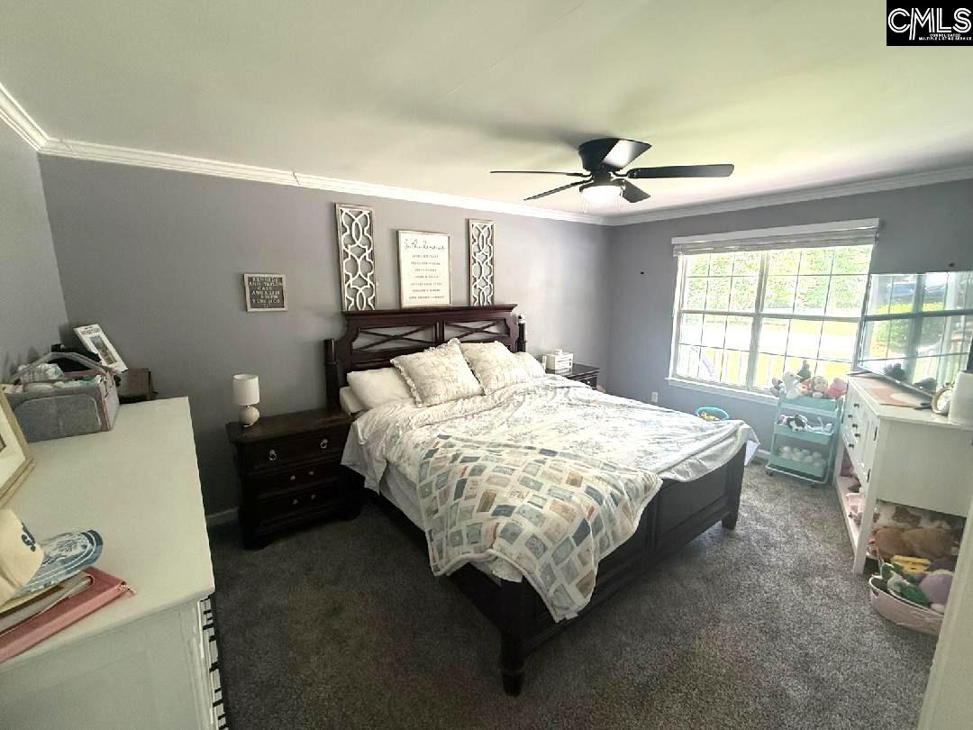 116 Firebridge Drive Chapin, SC 29036-7875