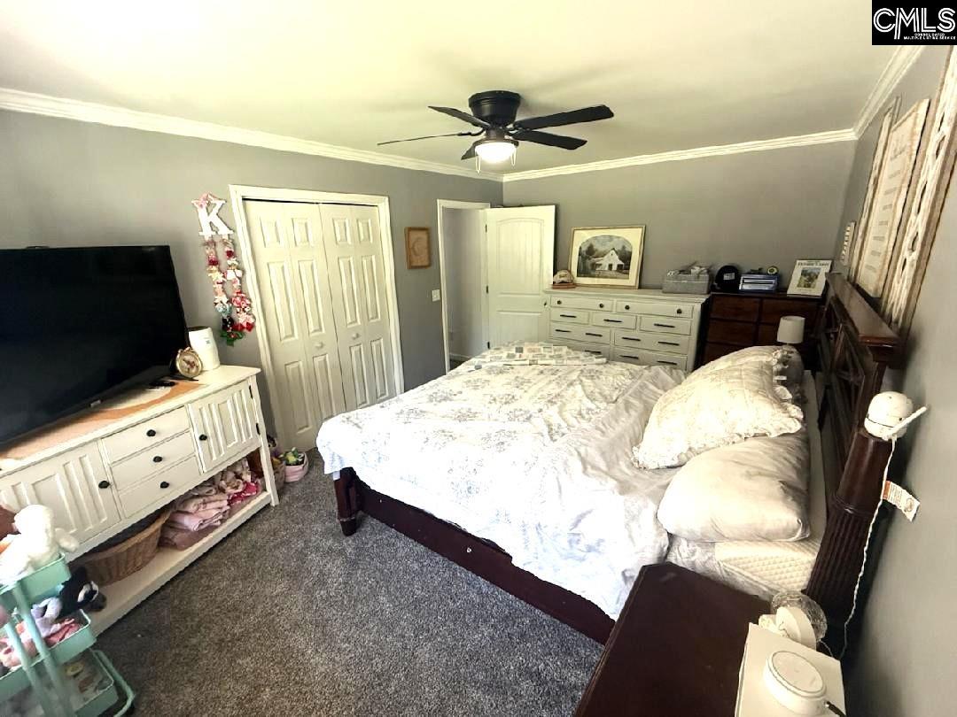 116 Firebridge Drive Chapin, SC 29036-7875