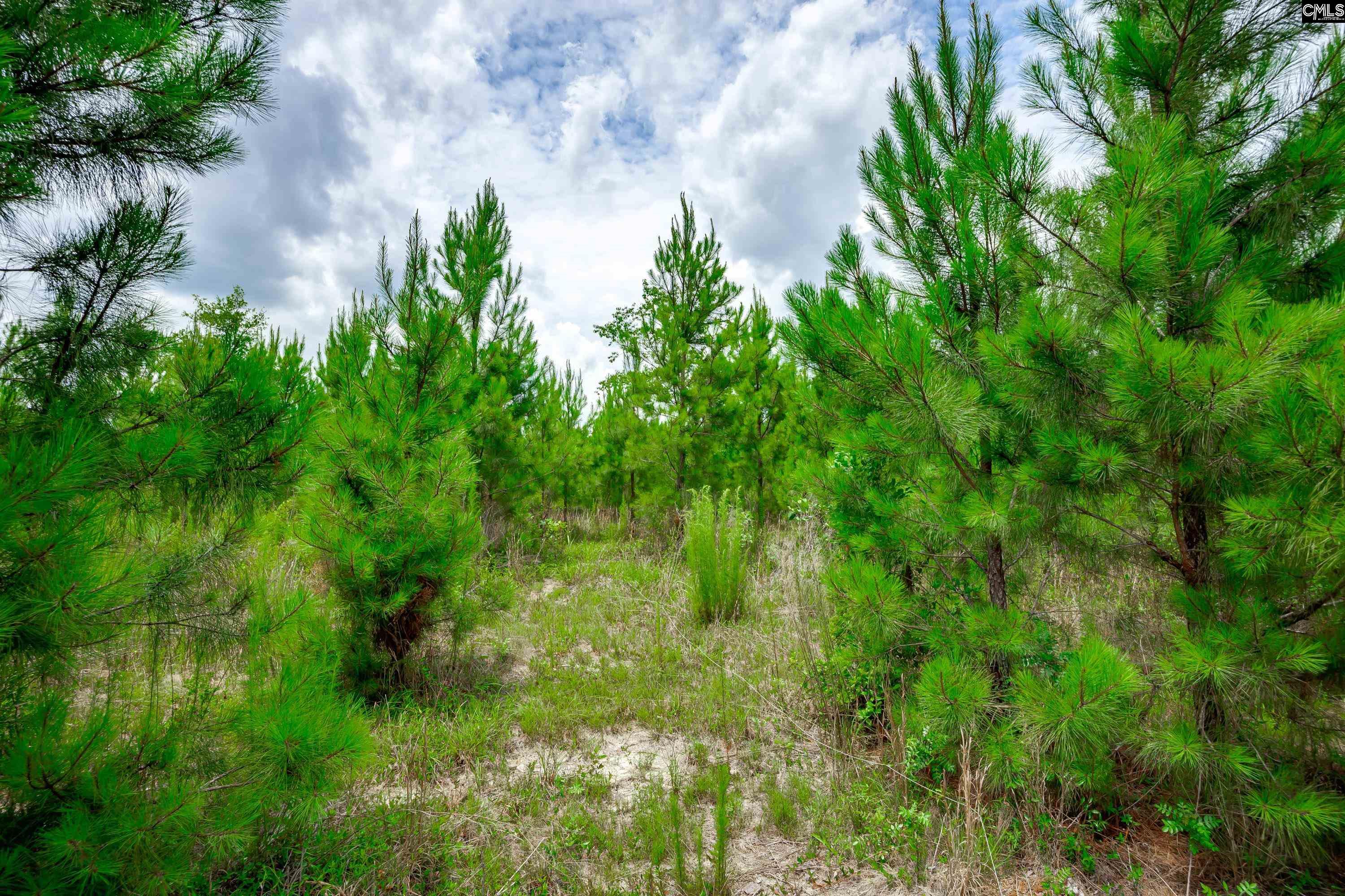 00 Catalina Boulevard Swansea, SC 29160