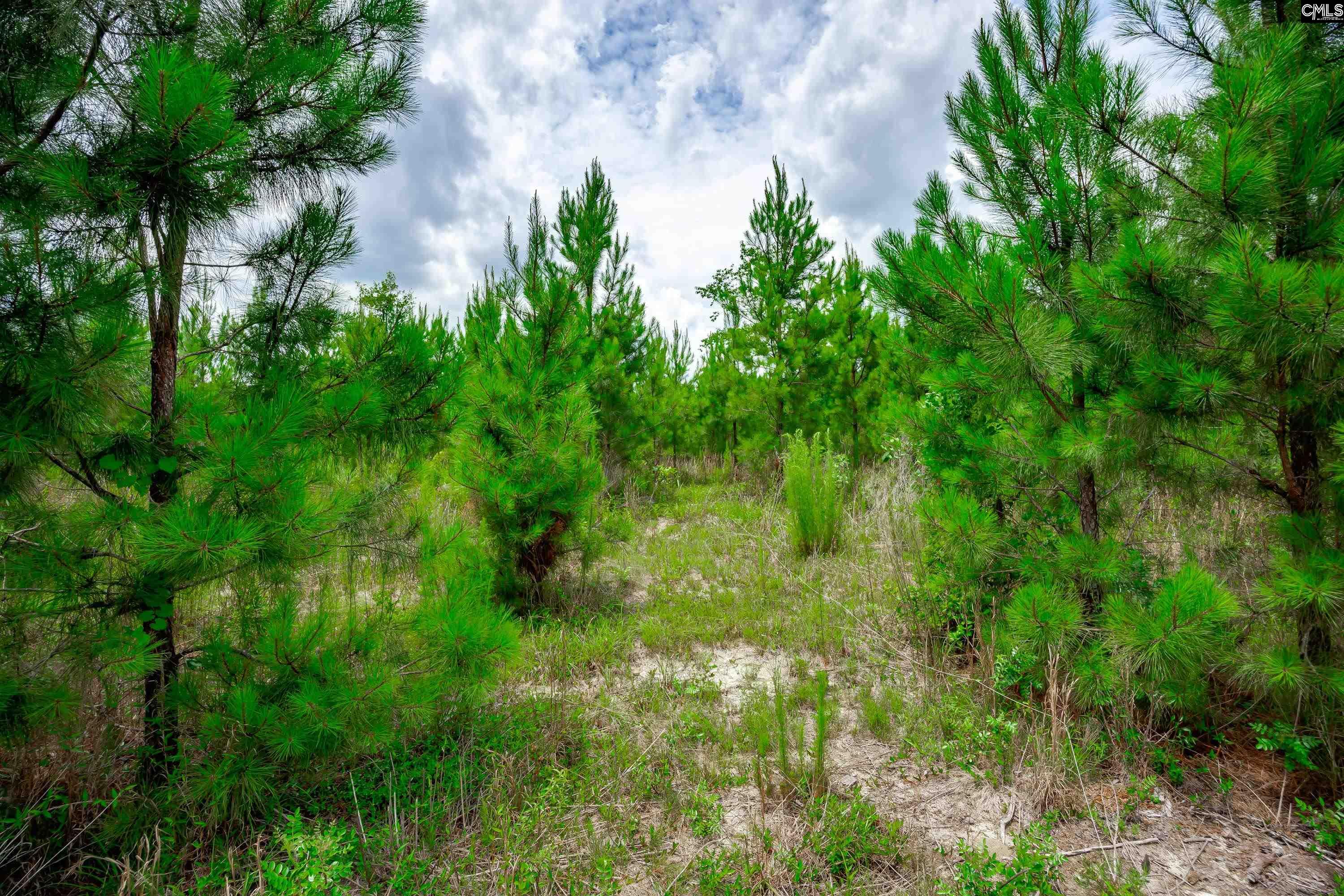 00 Catalina Boulevard Swansea, SC 29160