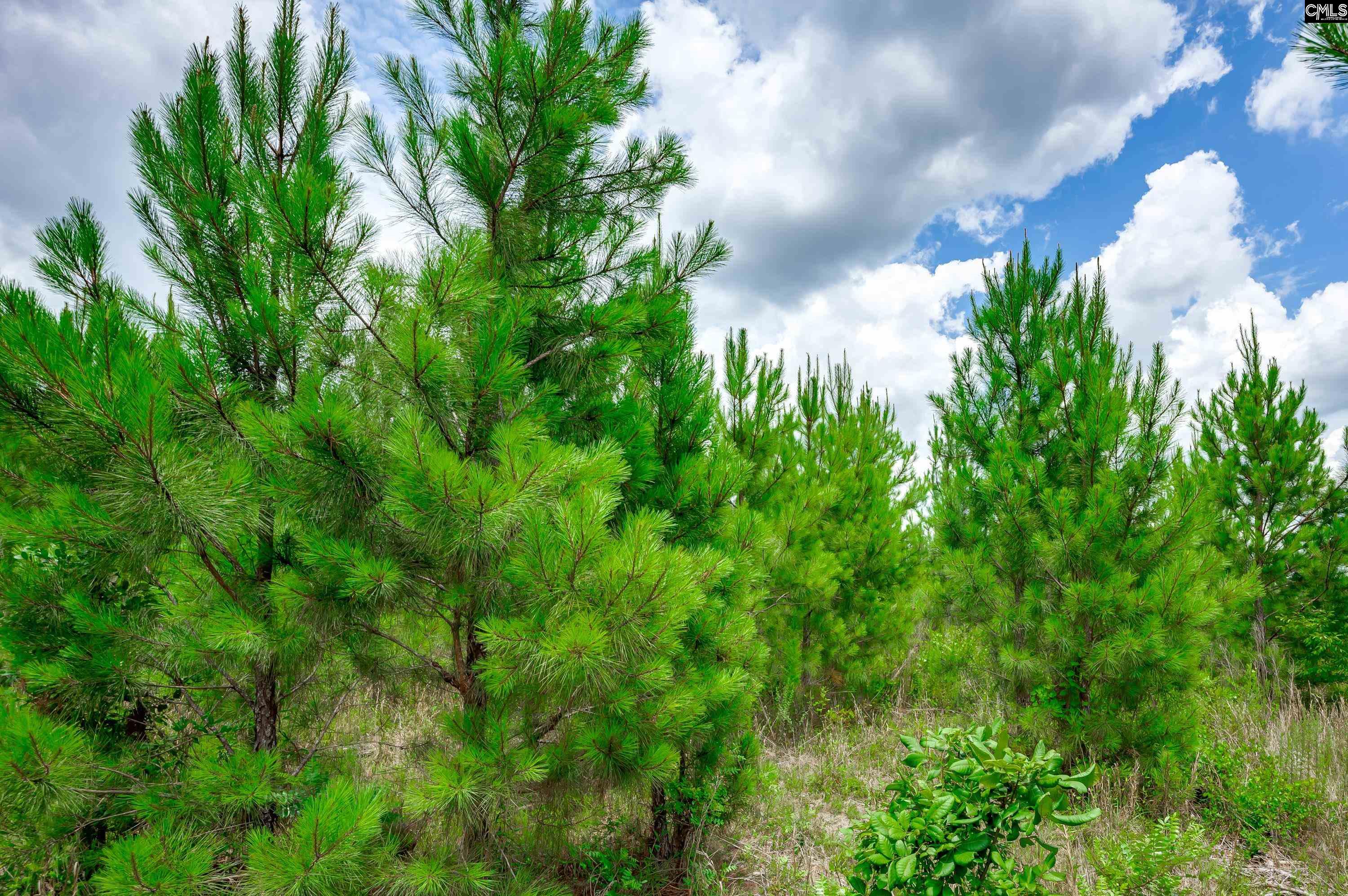 00 Catalina Boulevard Swansea, SC 29160