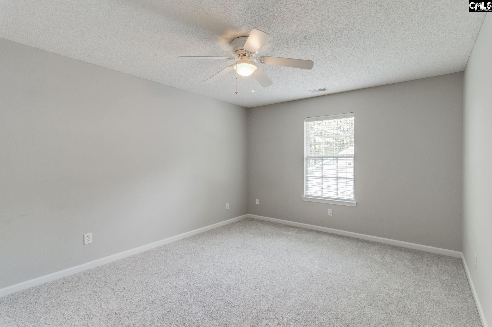 5 Redbrush Court Chapin, SC 29036