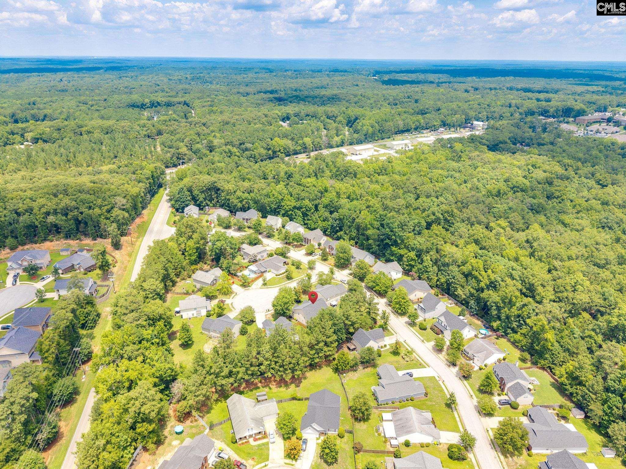 5 Redbrush Court Chapin, SC 29036