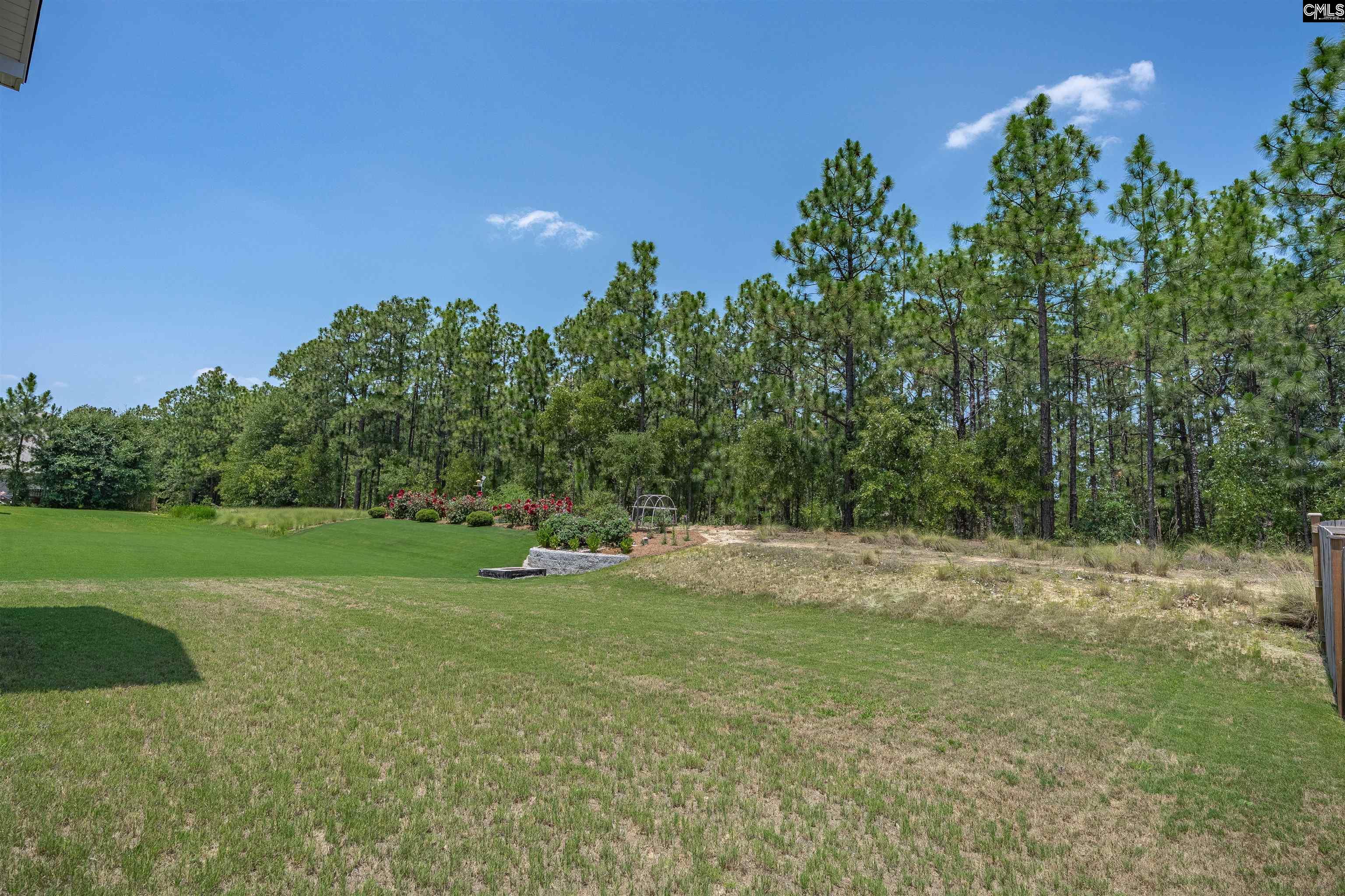 713 Wallowa Drive Elgin, SC 29045