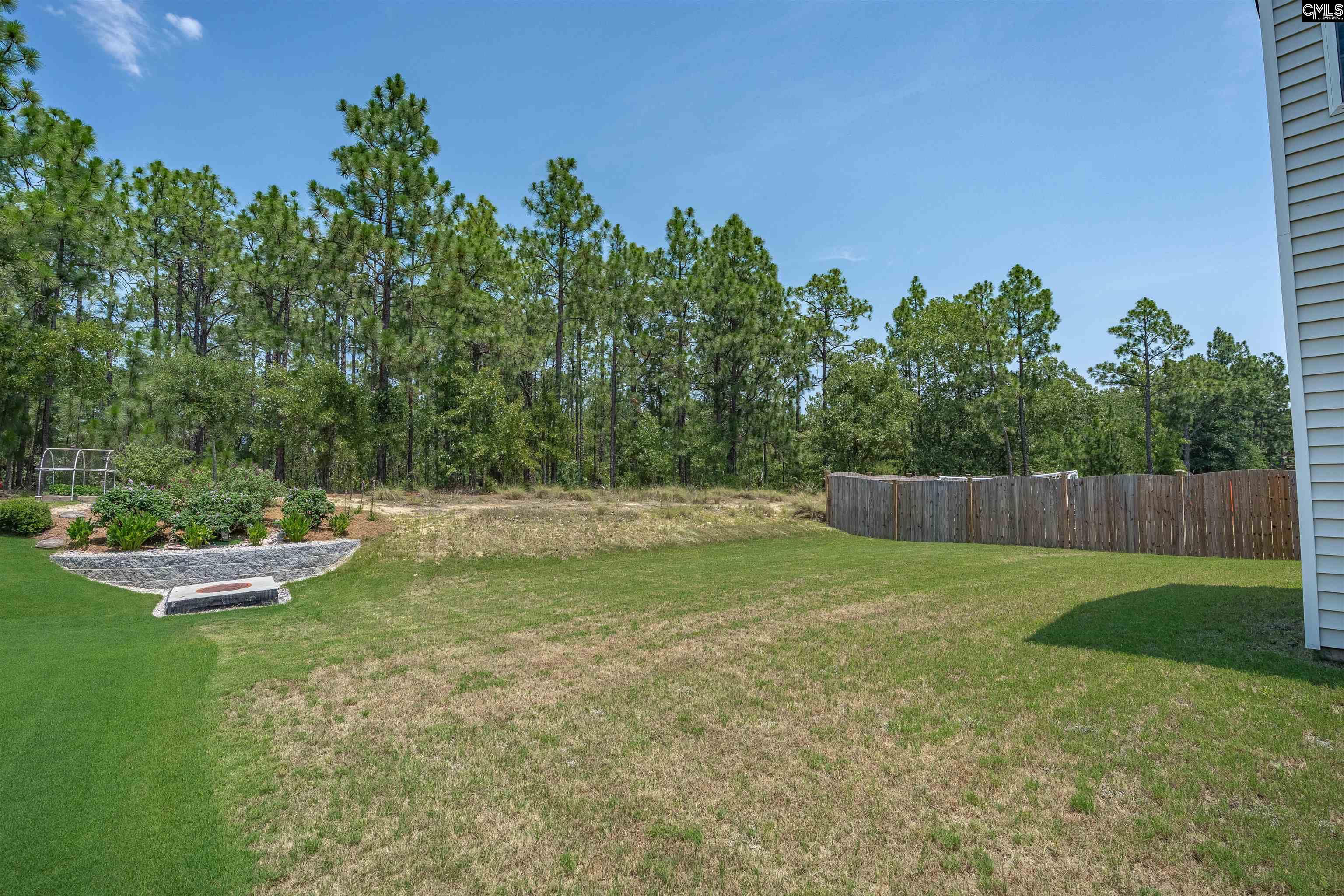 713 Wallowa Drive Elgin, SC 29045
