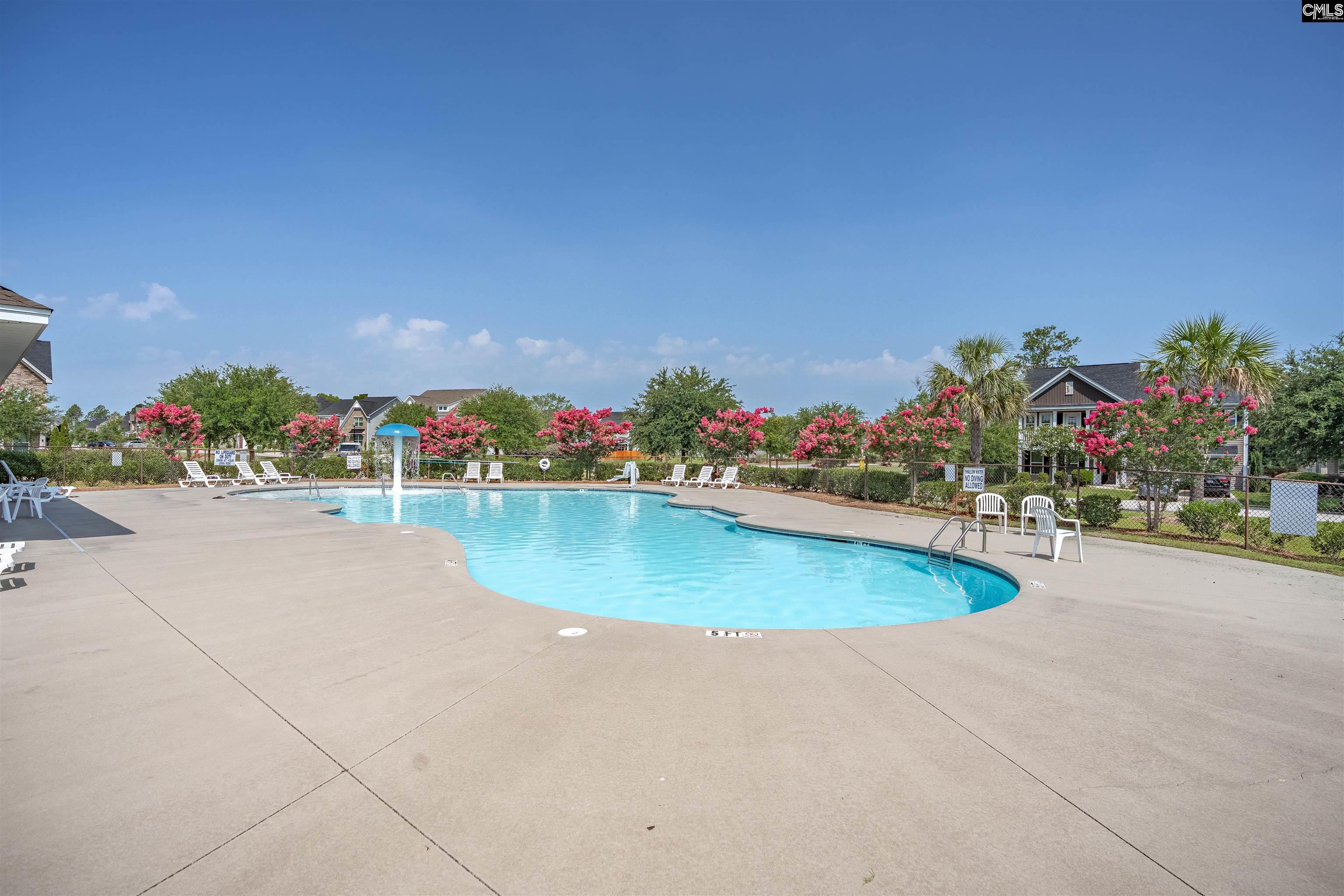 713 Wallowa Drive Elgin, SC 29045