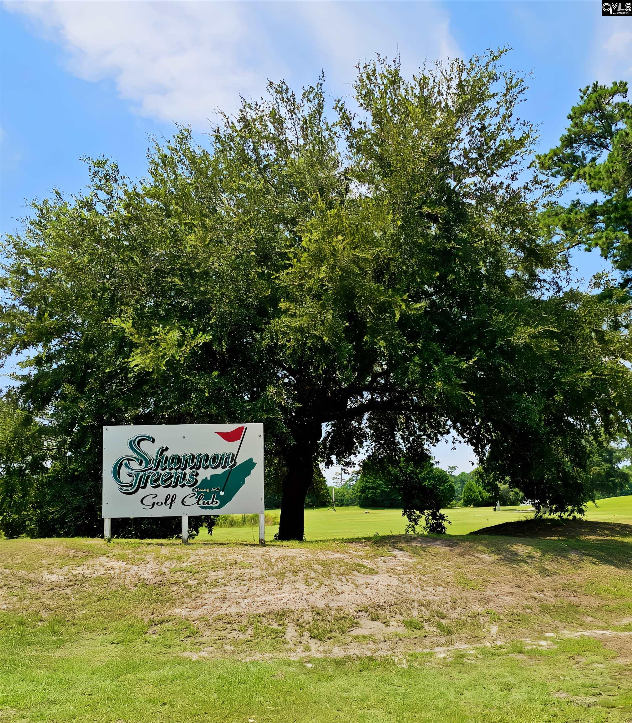 1341 Davenport Drive Manning, SC 29102