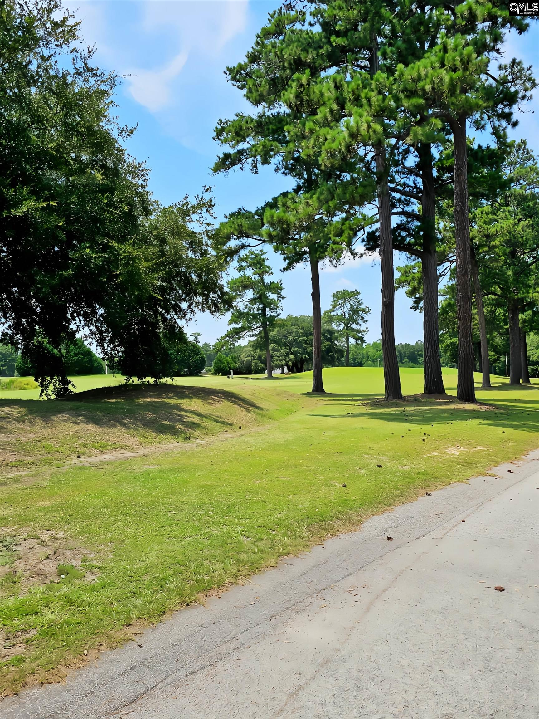 1341 Davenport Drive Manning, SC 29102