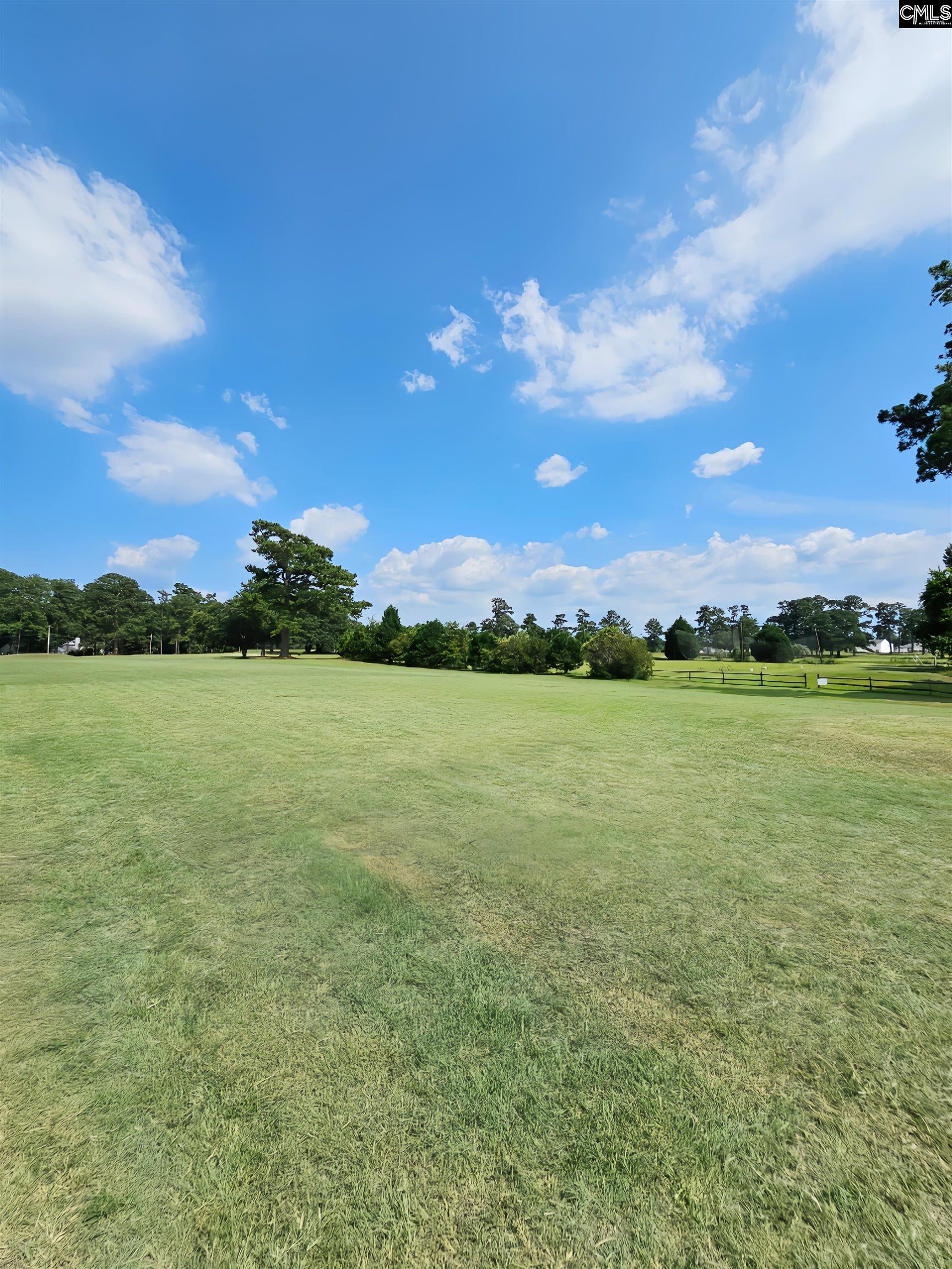 1341 Davenport Drive Manning, SC 29102