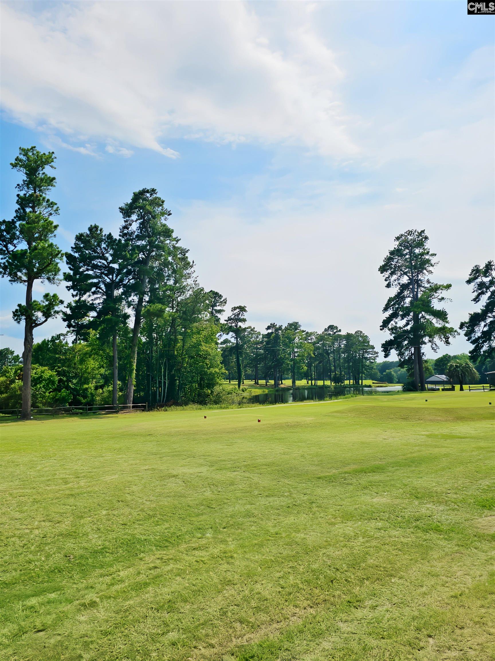 1341 Davenport Drive Manning, SC 29102