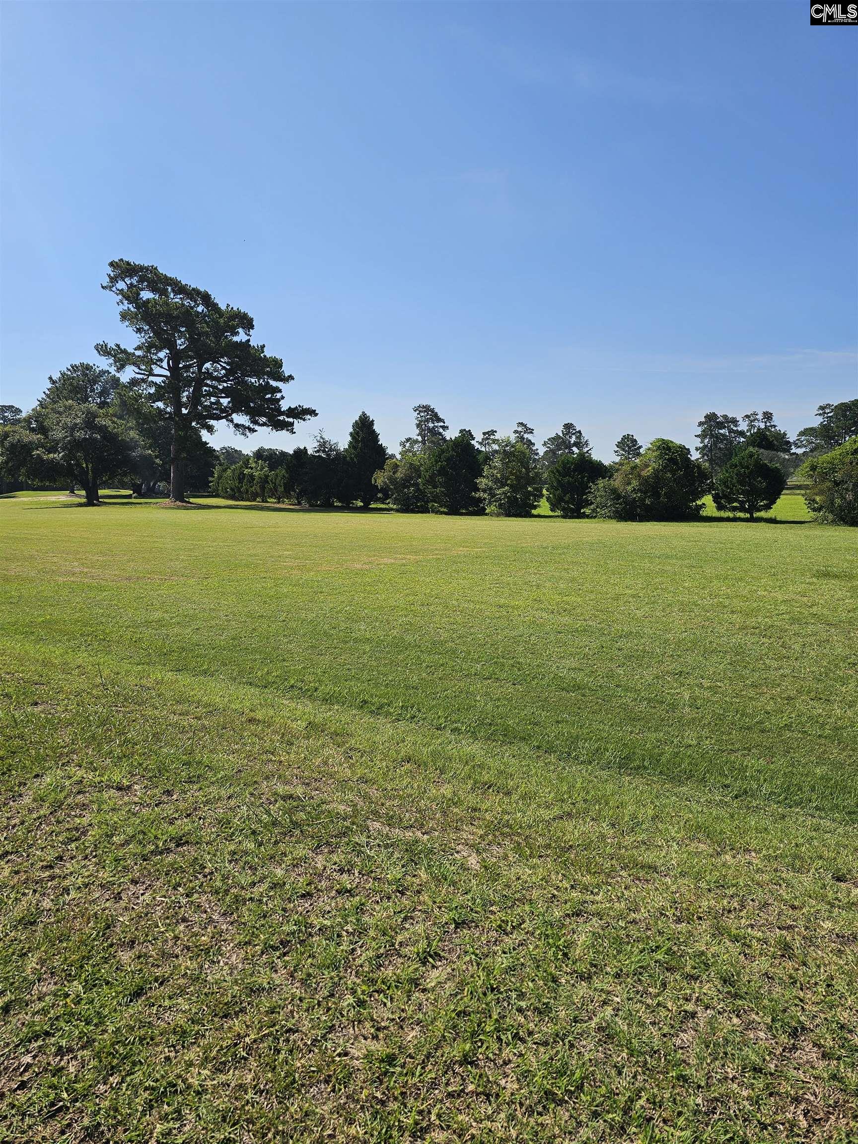 1341 Davenport Drive Manning, SC 29102