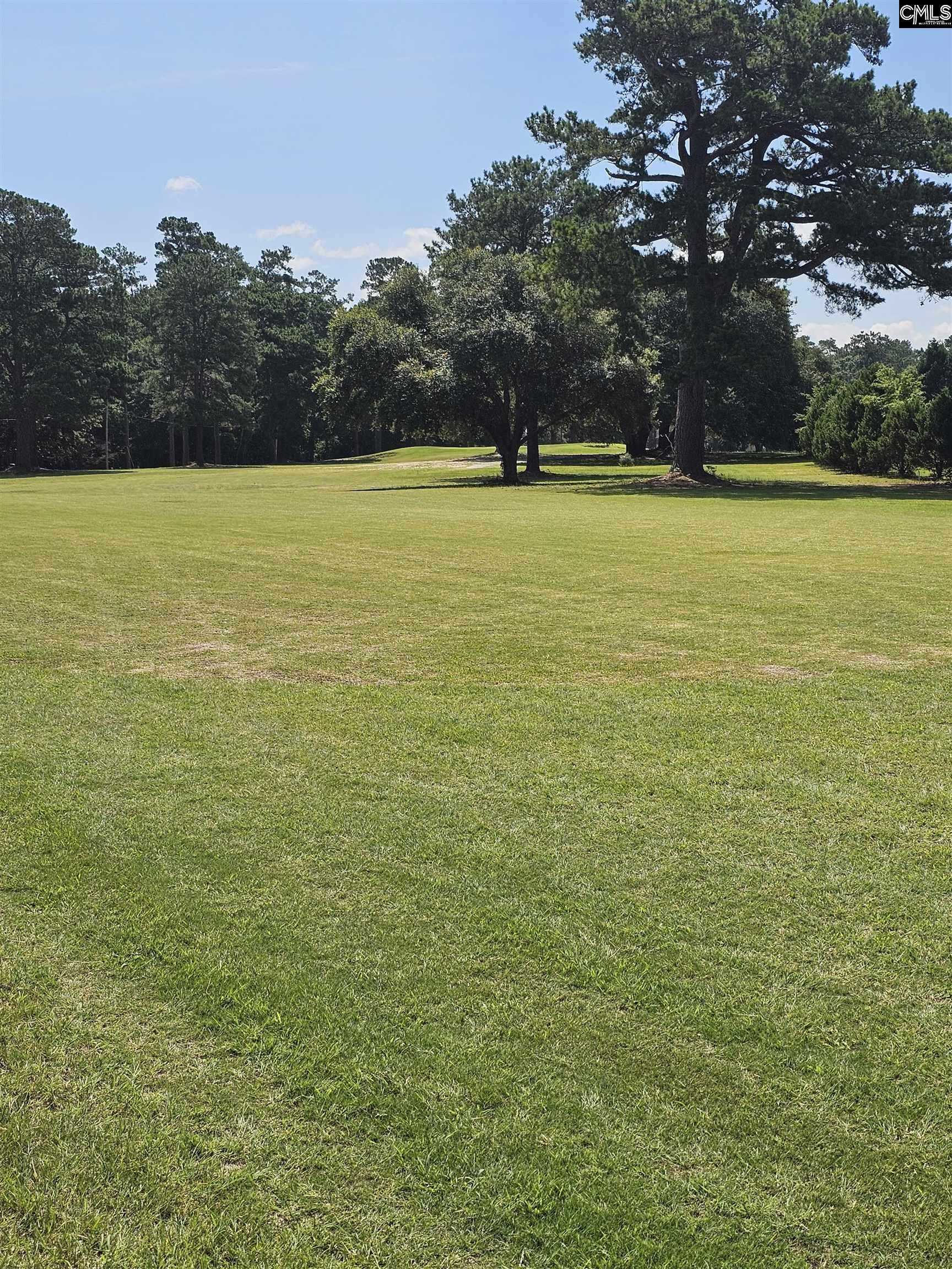 1341 Davenport Drive Manning, SC 29102