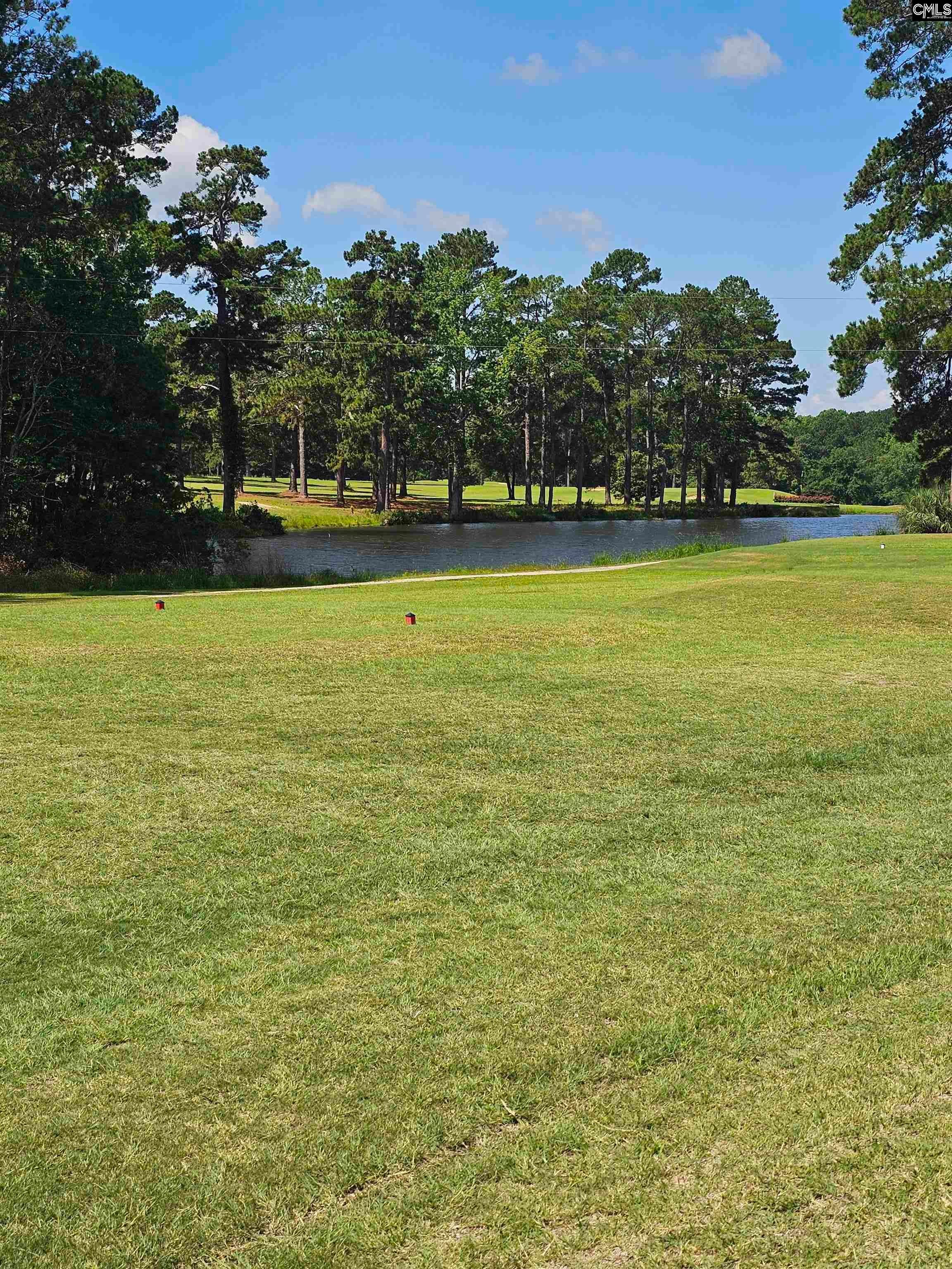 1341 Davenport Drive Manning, SC 29102