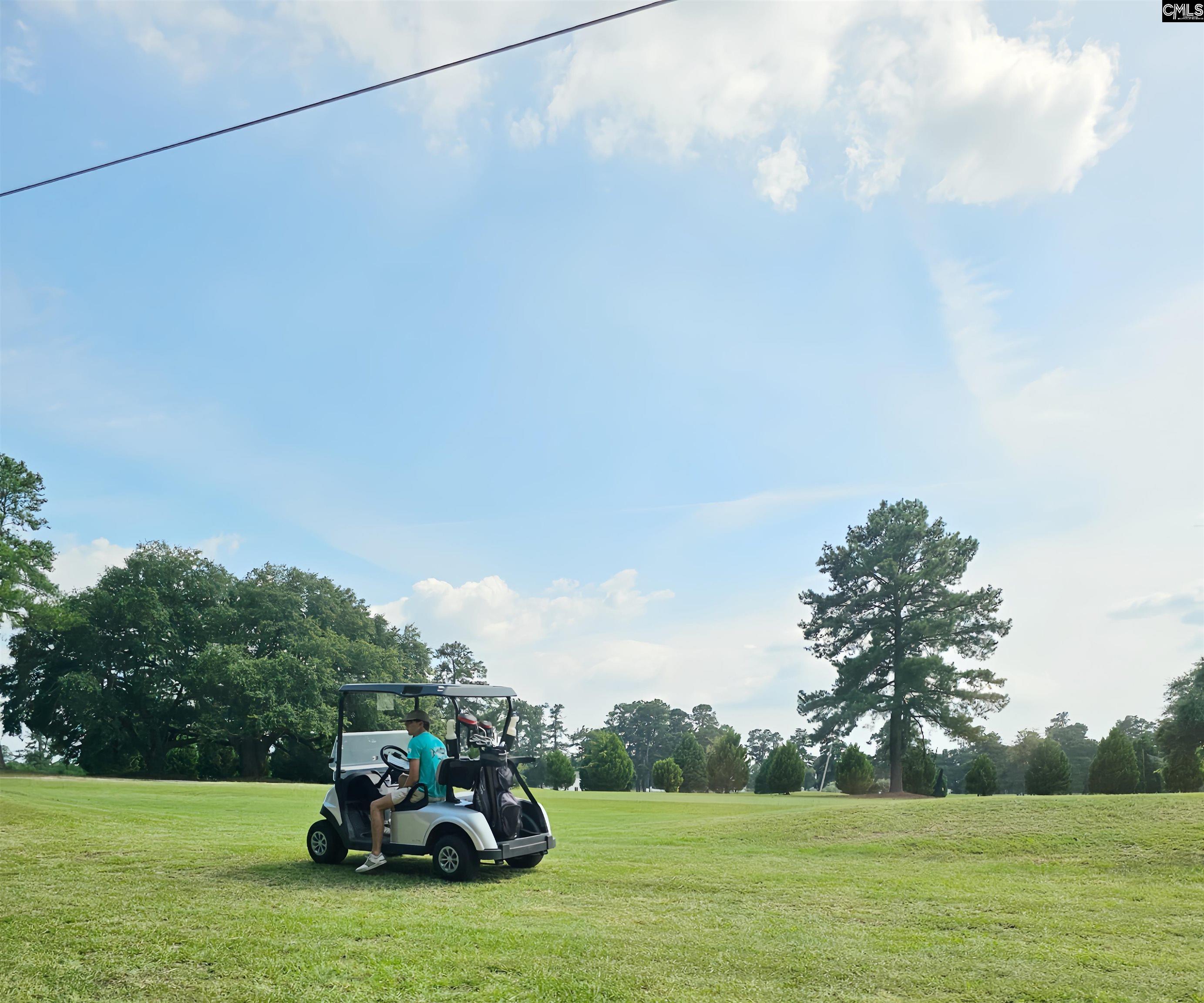 1341 Davenport Drive Manning, SC 29102
