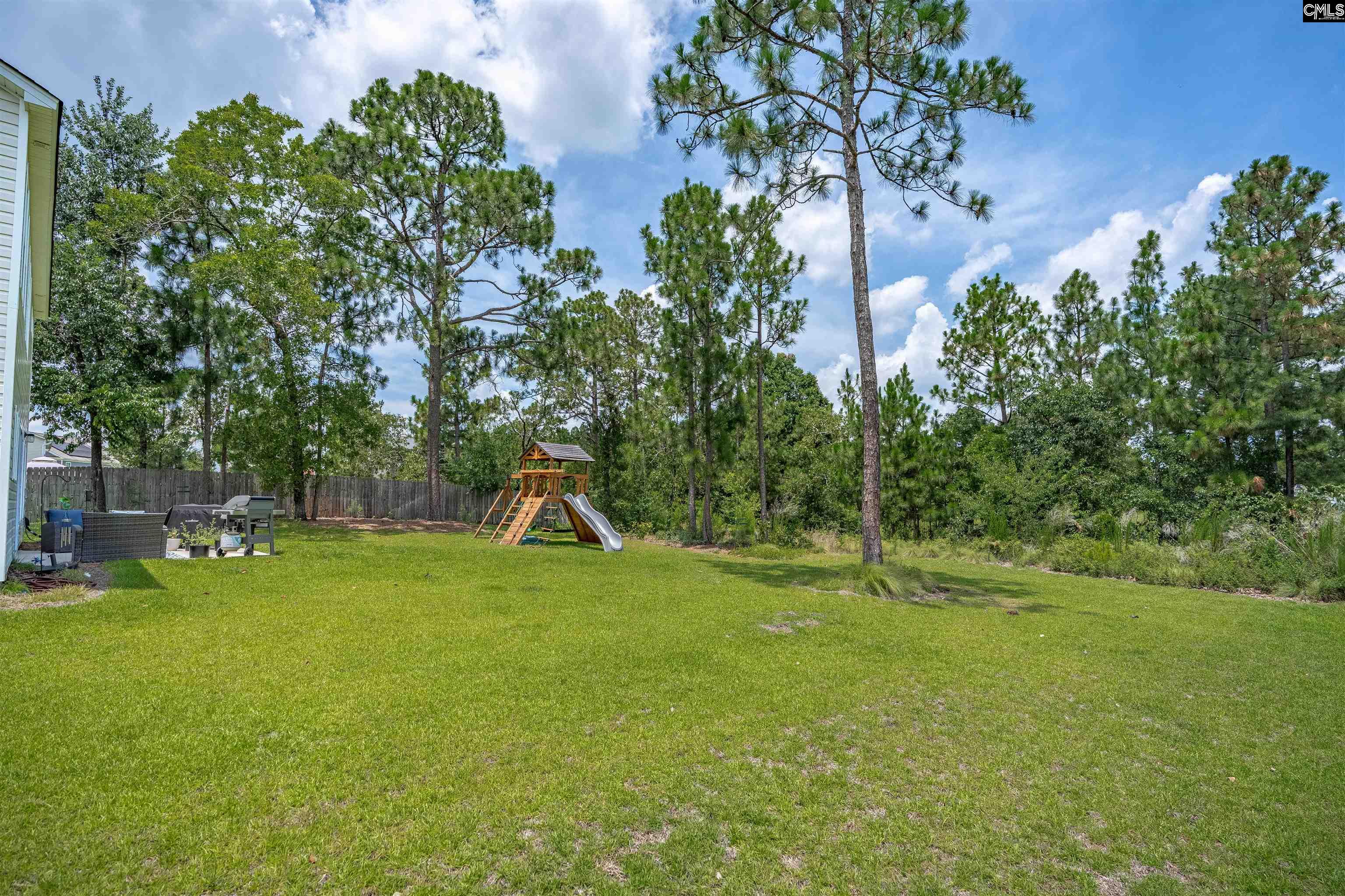 263 Cassique Drive Lexington, SC 29073-7041