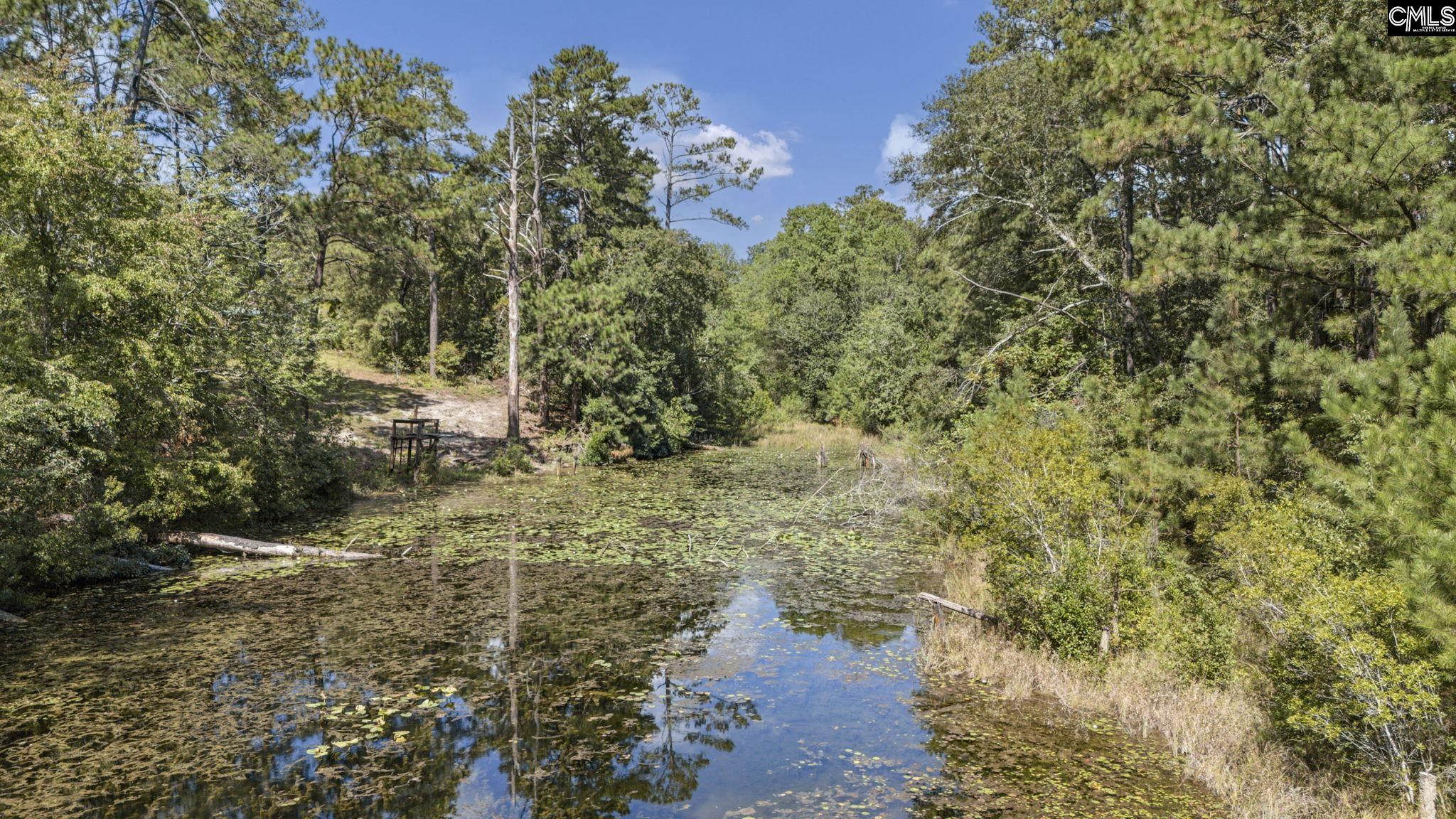 121 Coral Court Lexington, SC 29073