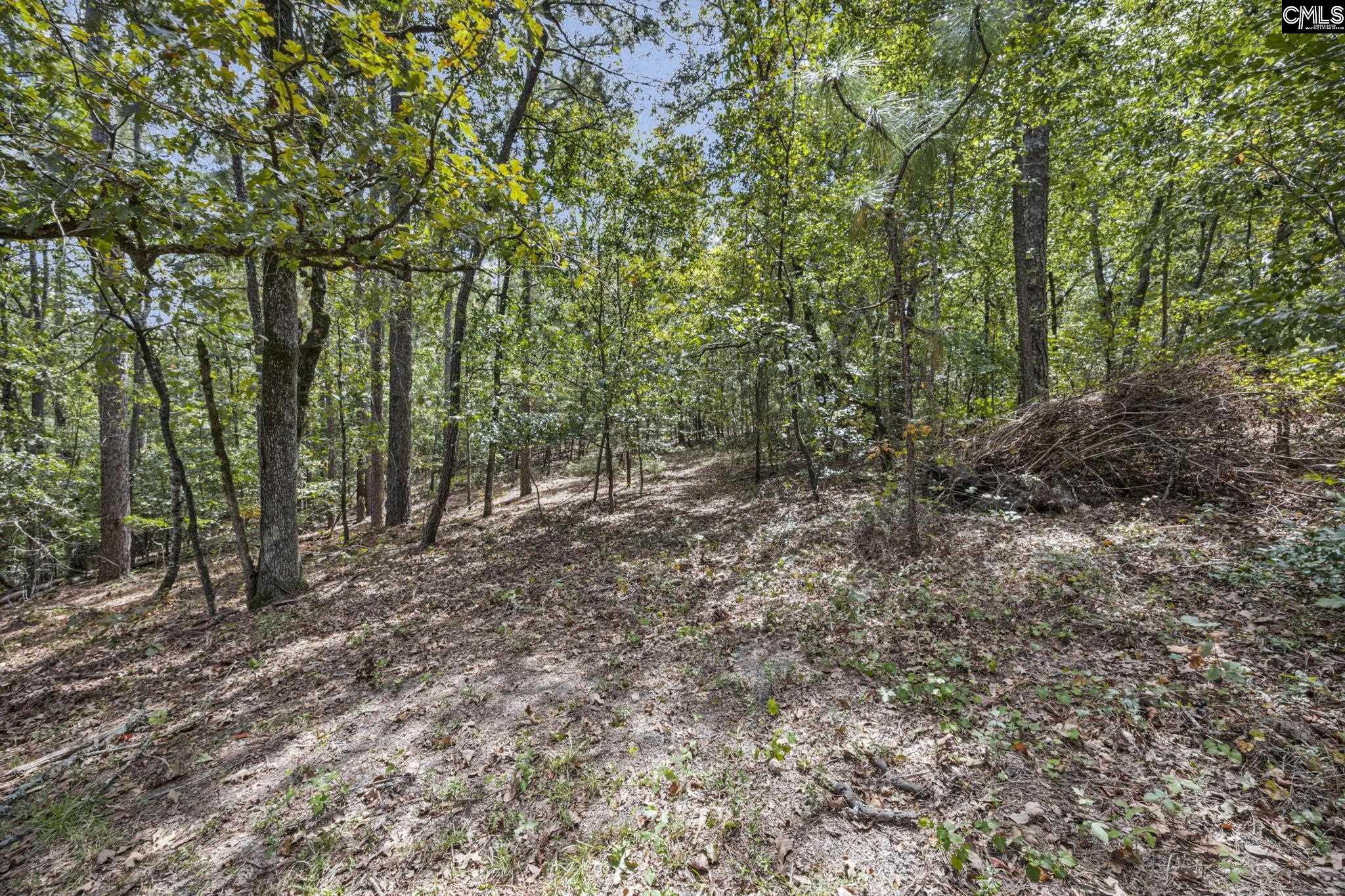 121 Coral Court Lexington, SC 29073