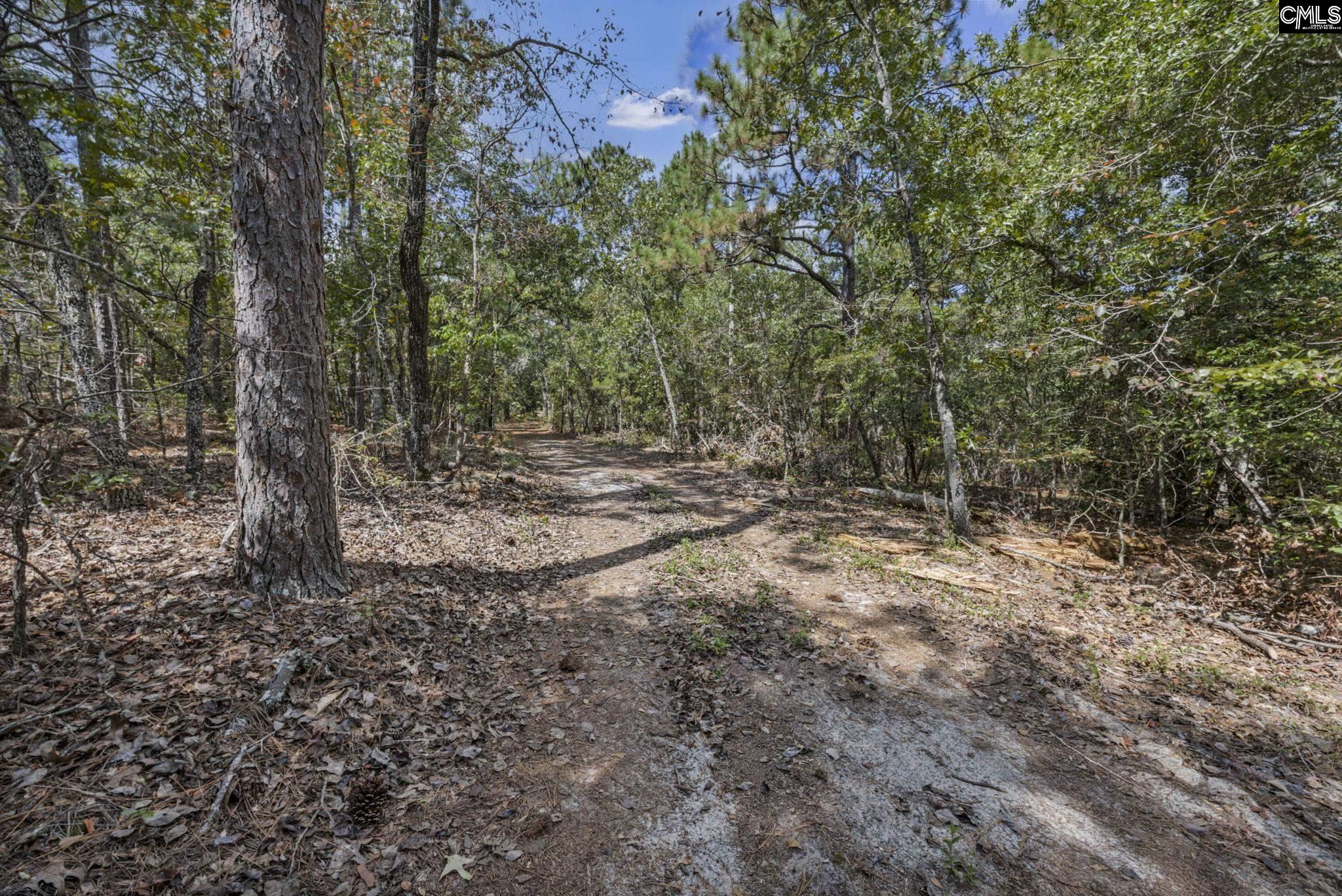 121 Coral Court Lexington, SC 29073