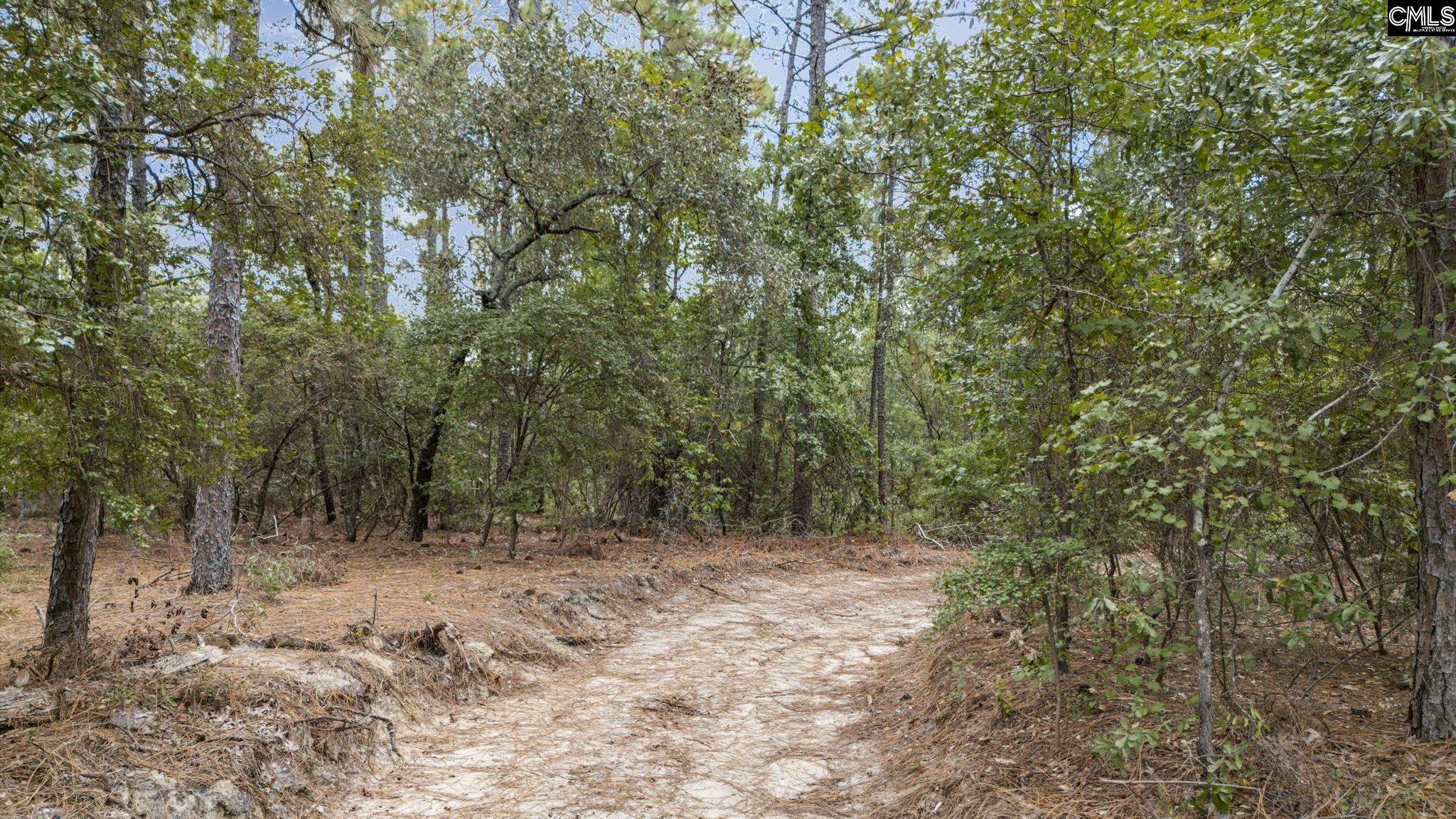 121 Coral Court Lexington, SC 29073