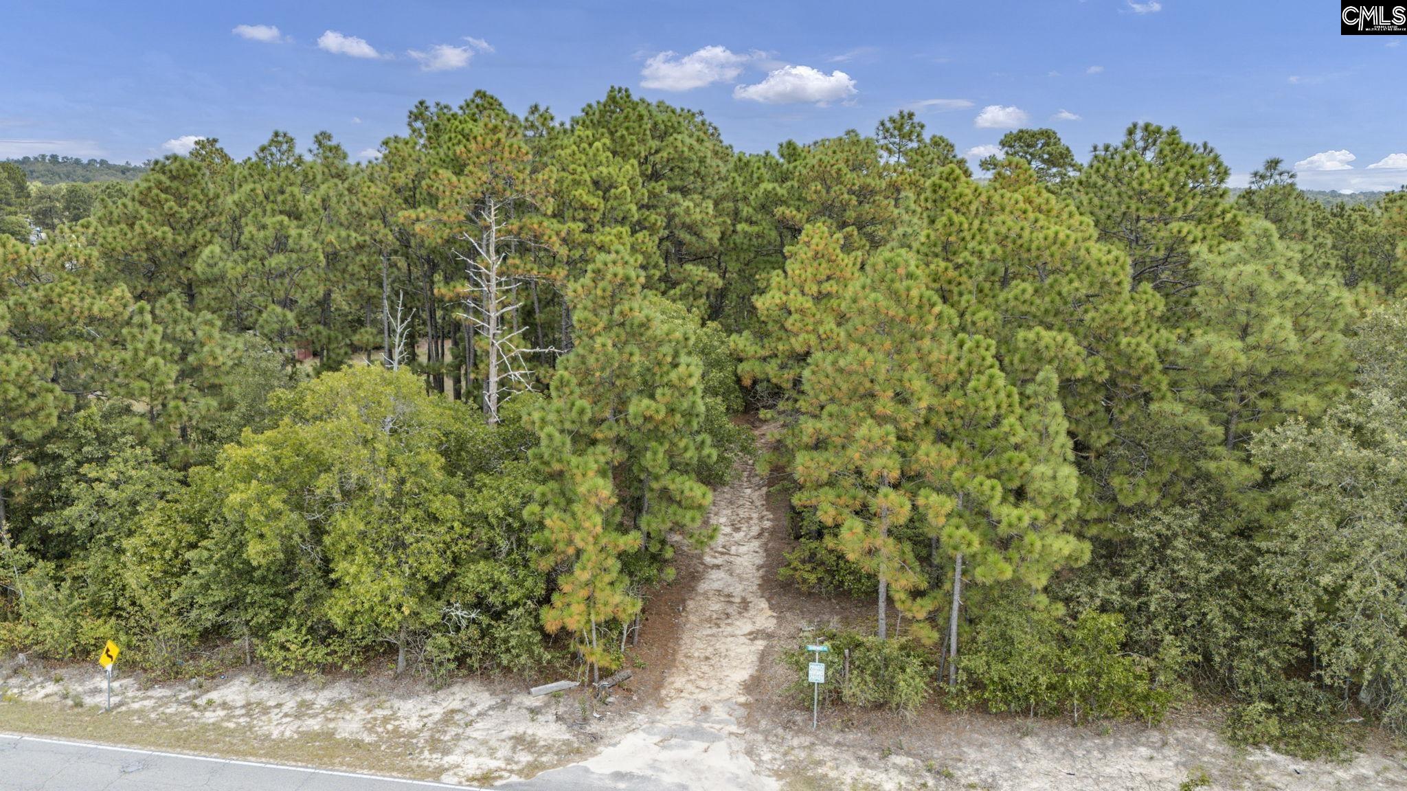 121 Coral Court Lexington, SC 29073