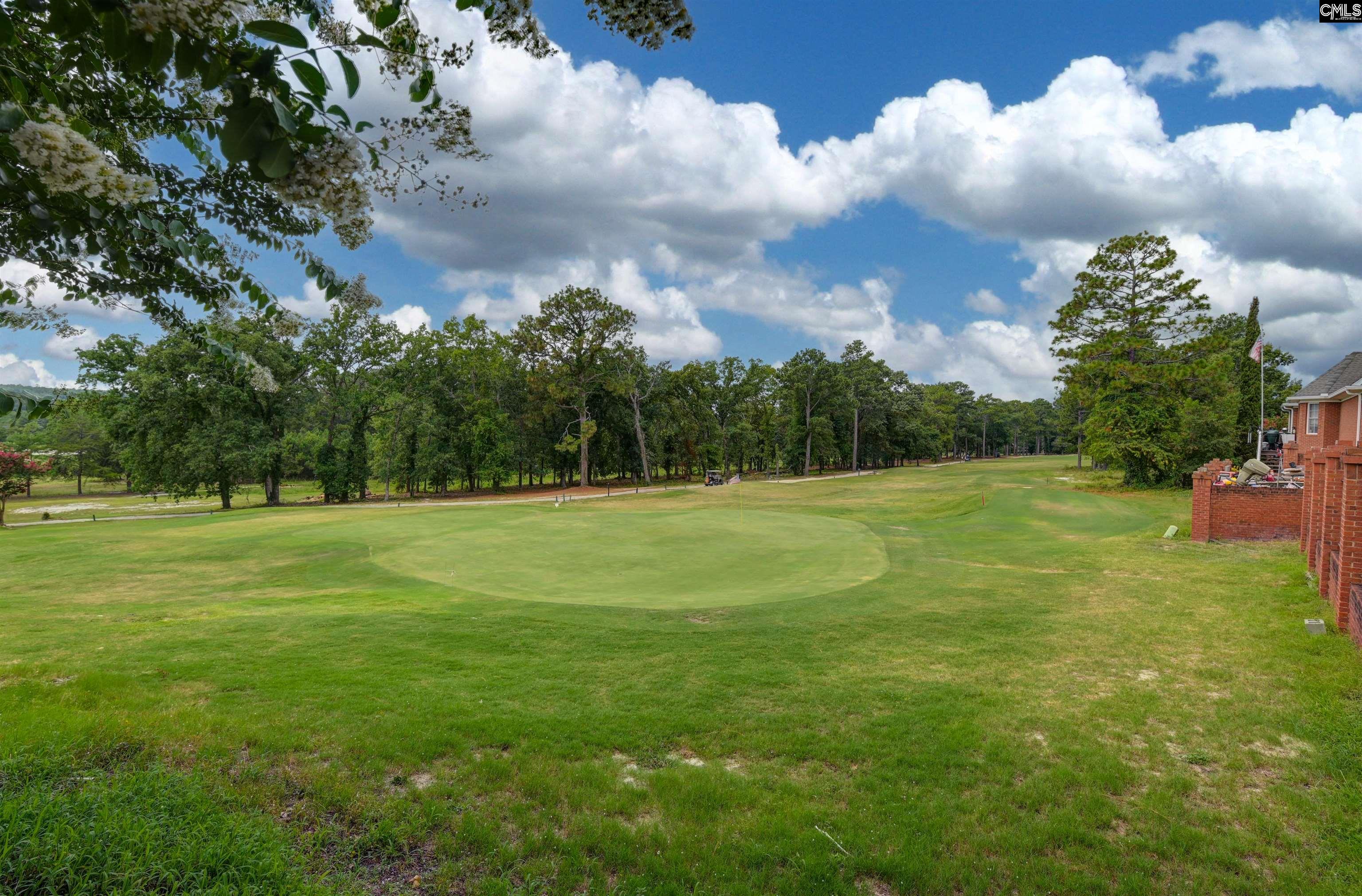 244 Long Iron Court West Columbia, SC 29172