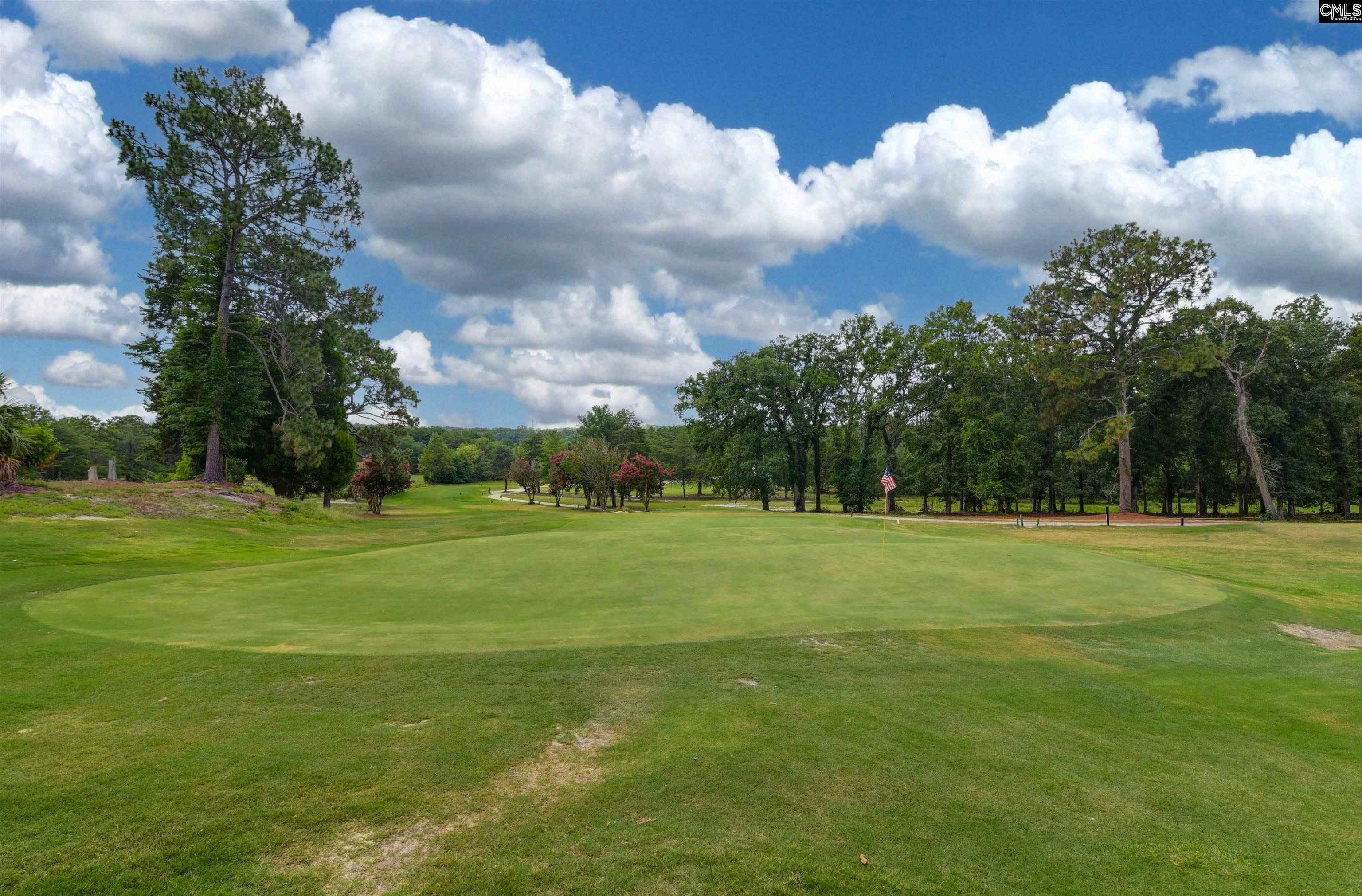 244 Long Iron Court West Columbia, SC 29172