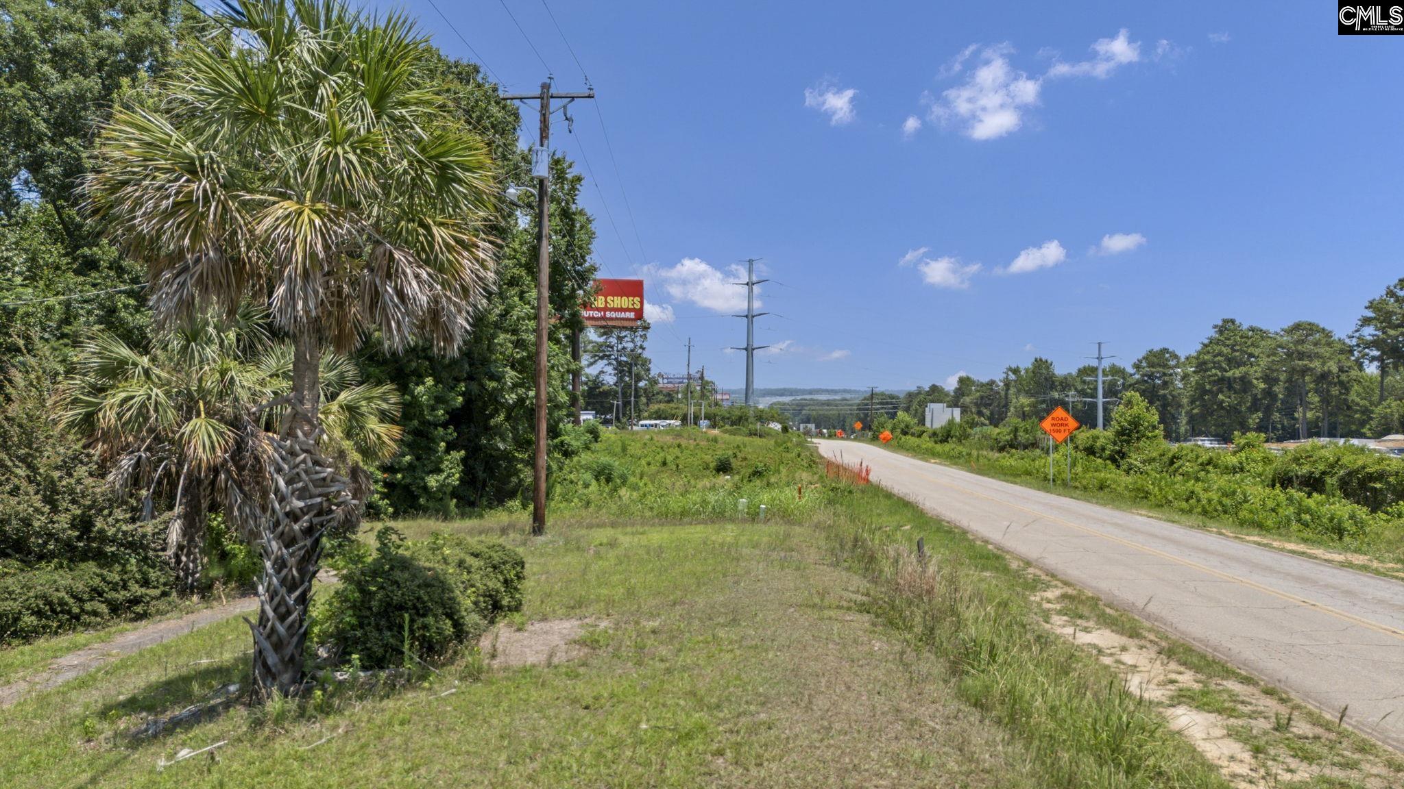 TBD Riverchase Way Lexington, SC 29072