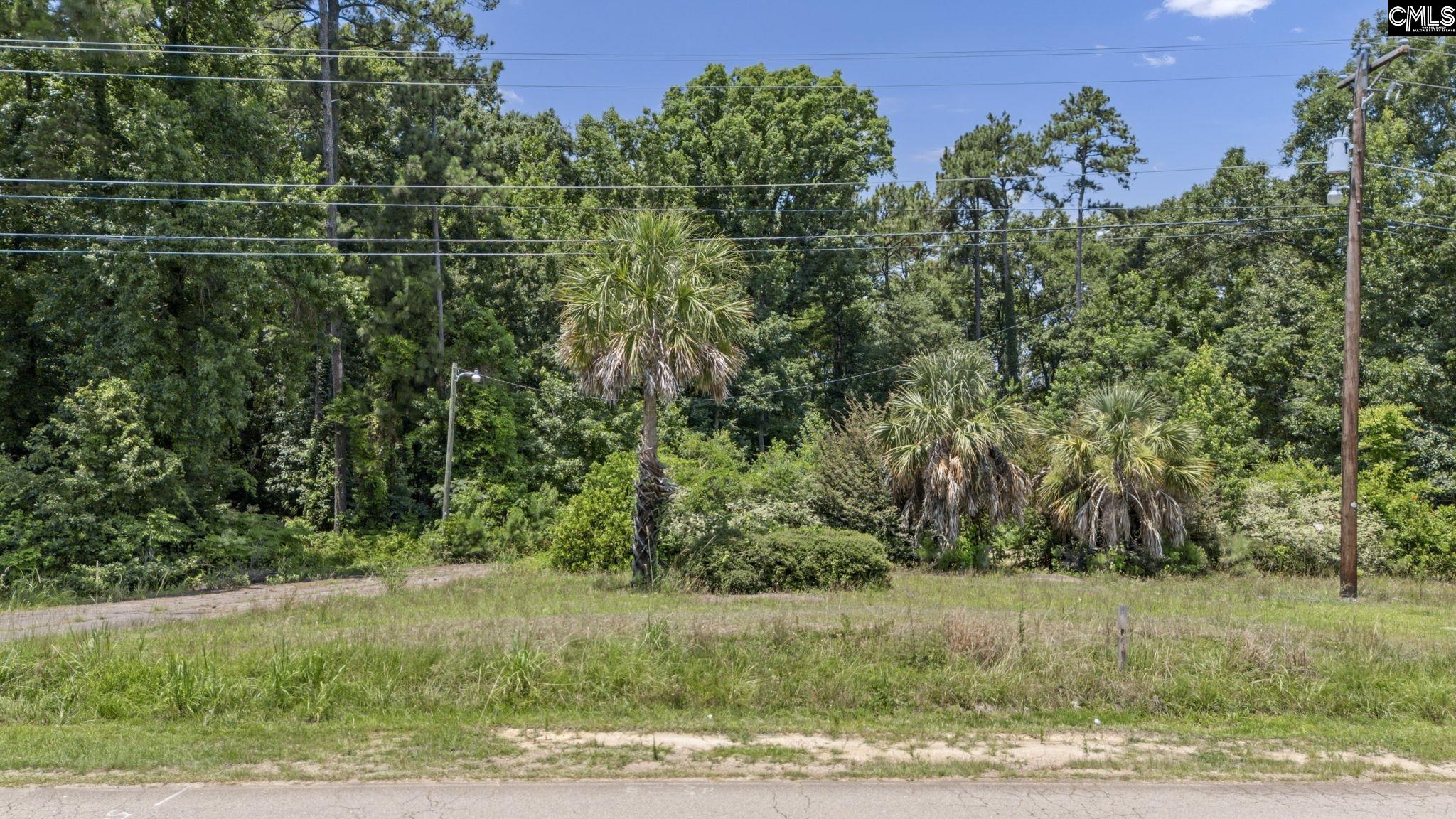 TBD Riverchase Way Lexington, SC 29072
