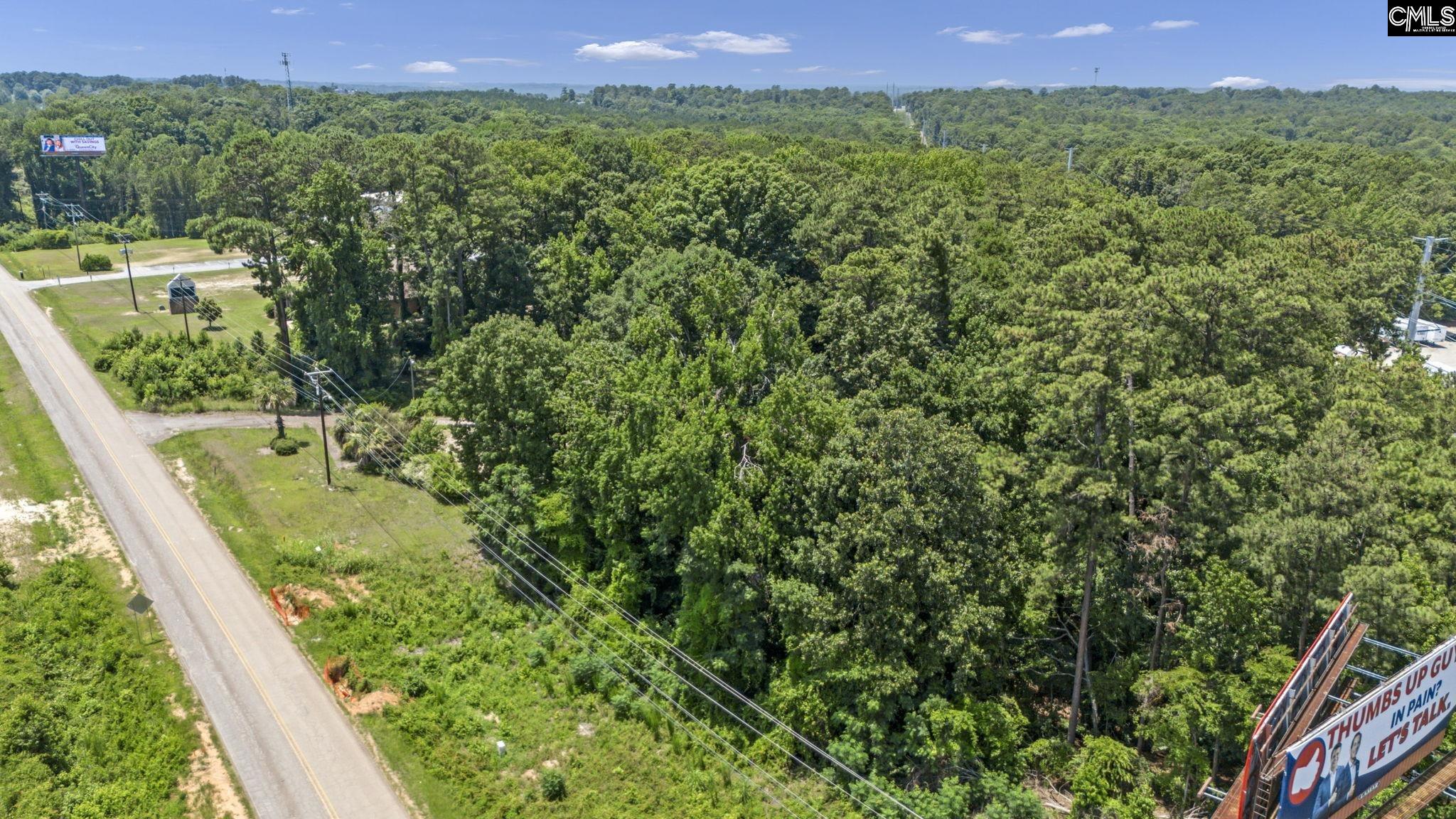 TBD Riverchase Way Lexington, SC 29072