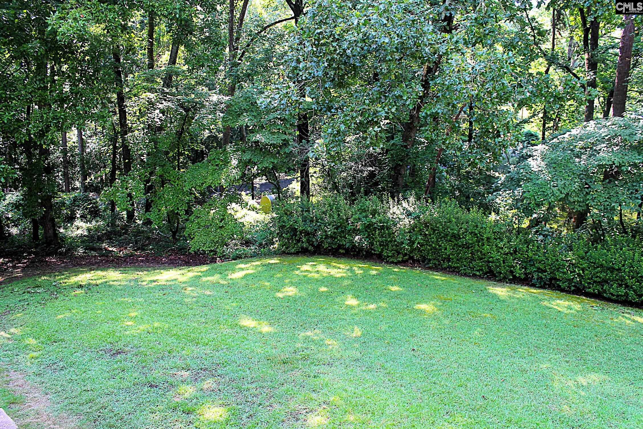 155 Pinewood Drive Chapin, SC 29036